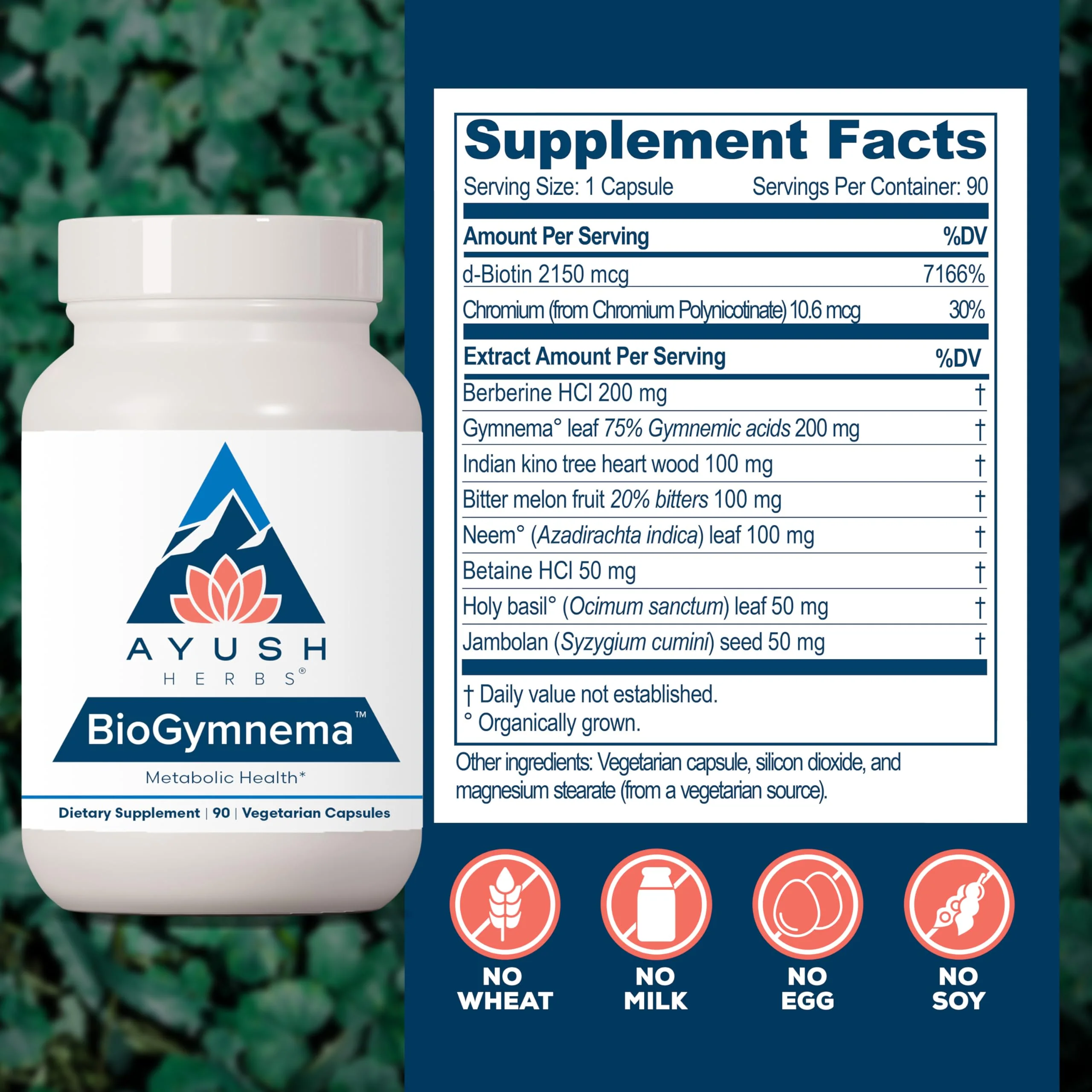 Ayush Herbs BioGymnema – Metabolic Health Supplement with Berberine, Gymnema & Bitter Melon | 90 Veg Capsules - Image 5