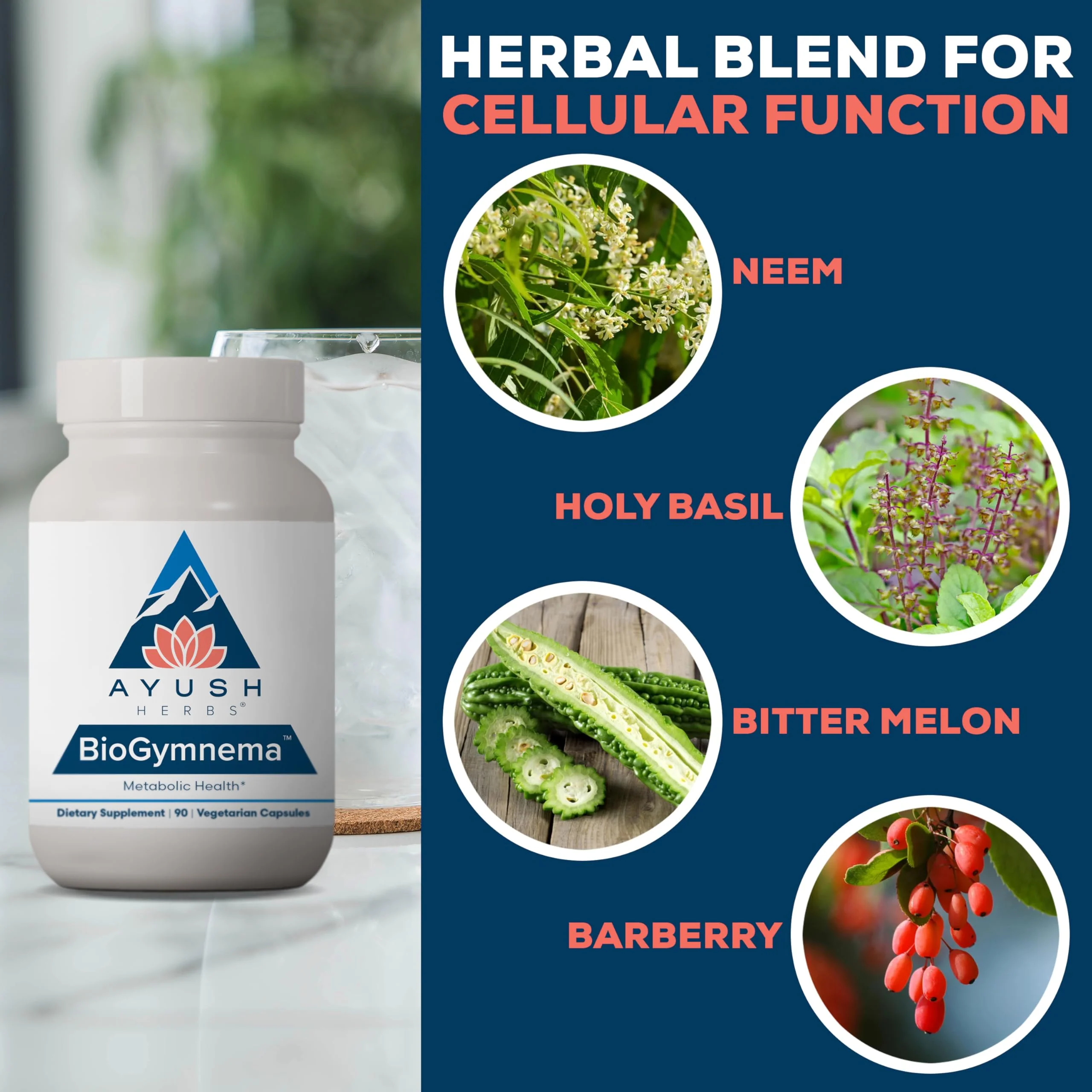 Ayush Herbs BioGymnema – Metabolic Health Supplement with Berberine, Gymnema & Bitter Melon | 90 Veg Capsules - Image 6