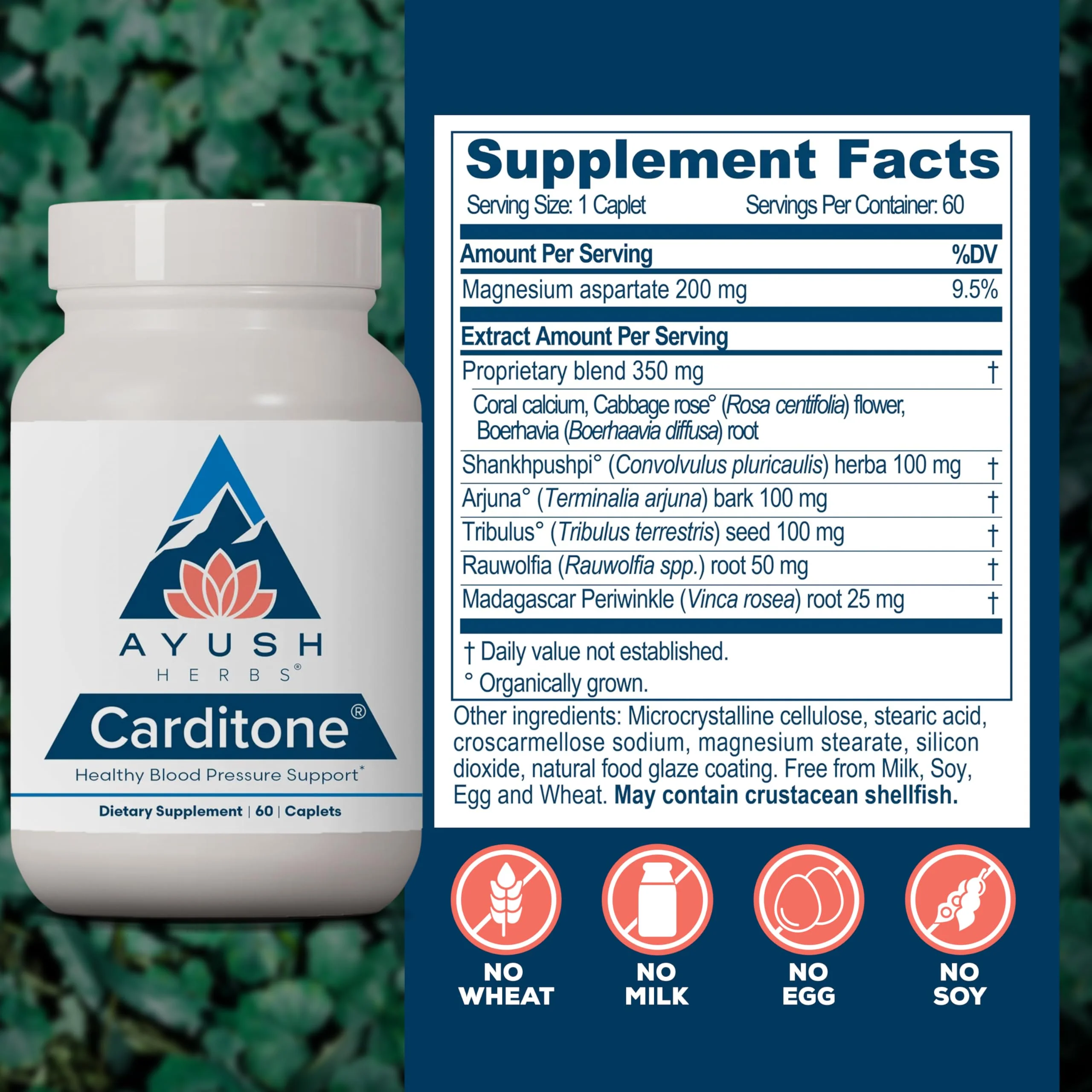 Ayush Herbs Carditone – Natural Heart Health Supplement with Rauwolfia, Arjuna, Calcium & Magnesium | 60 Vegetarian Caplets - Image 10