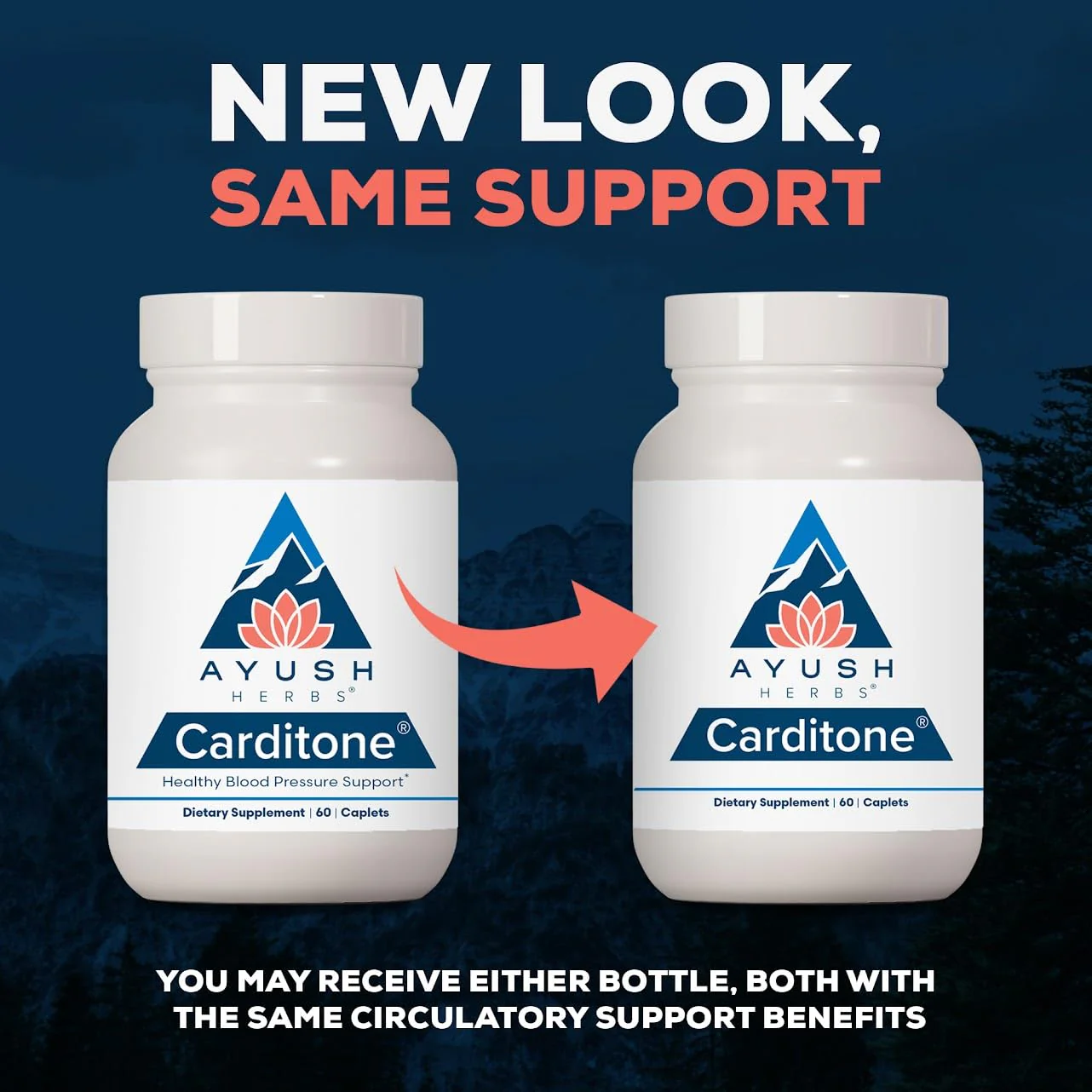 Ayush Herbs Carditone - Natural Heart Health Support with Rauwolfia, Arjuna, Calcium & Magnesium - 60 Vegetarian Caplets - Image 2