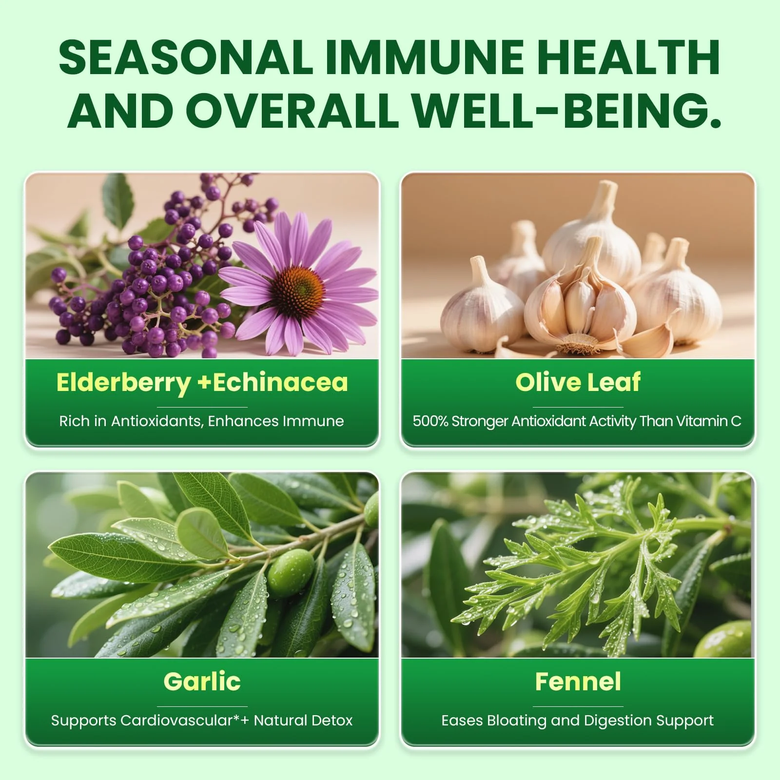 B BEWORTHS Oil of Oregano with Black Seed Oil – Carvacrol Oregano Oil Capsules for Immune & Digestive Support - Image 5
