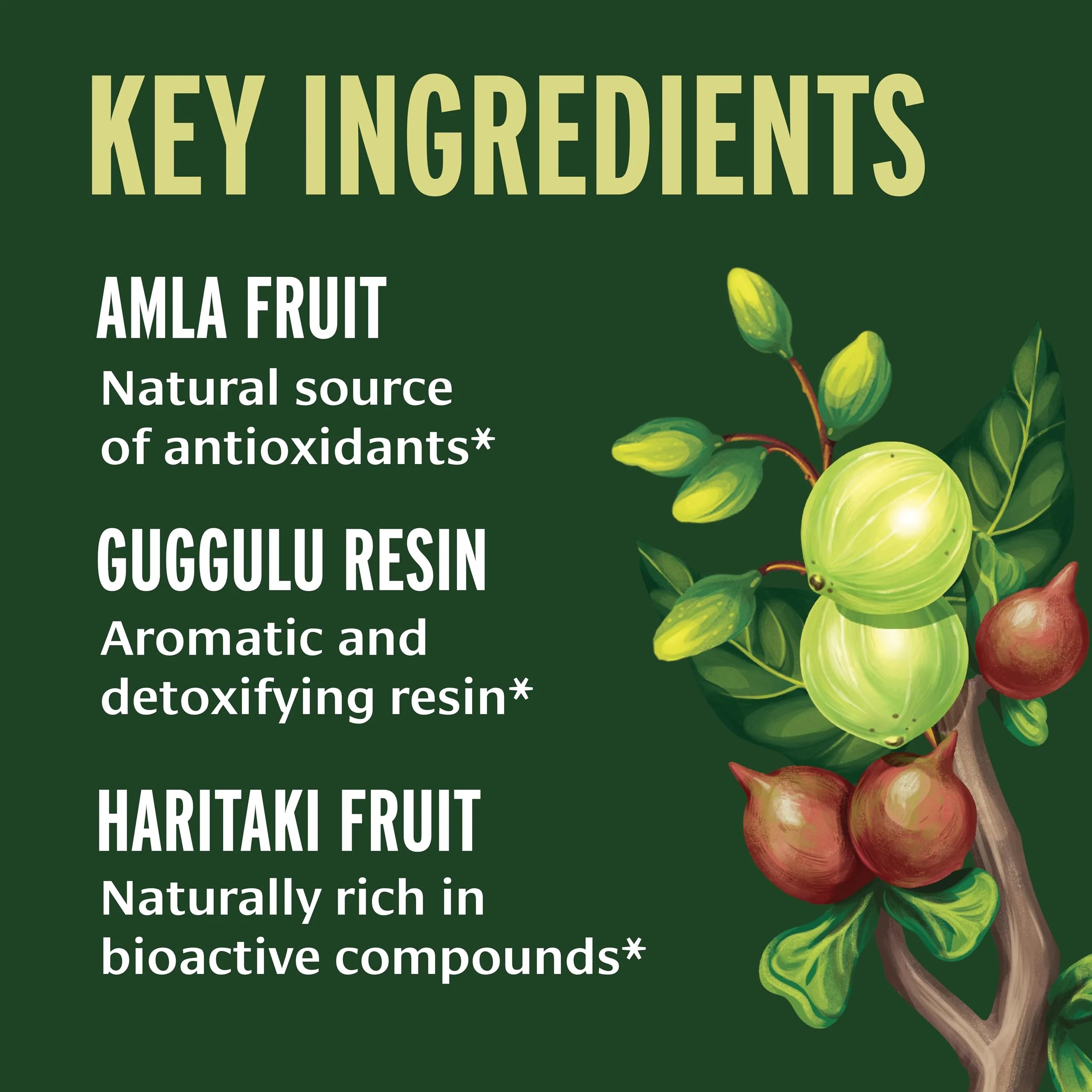 Banyan Botanicals Triphala Guggulu – Organic Triphala with Guggulu Resin | 90 Tablets – Vegan, Non-GMO - Image 10
