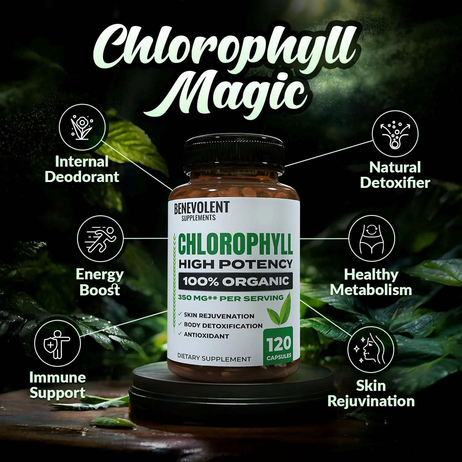 Benevolent Chlorophyll Capsules 350mg – 120 Caps | Natural, 20x Potency - Image 2