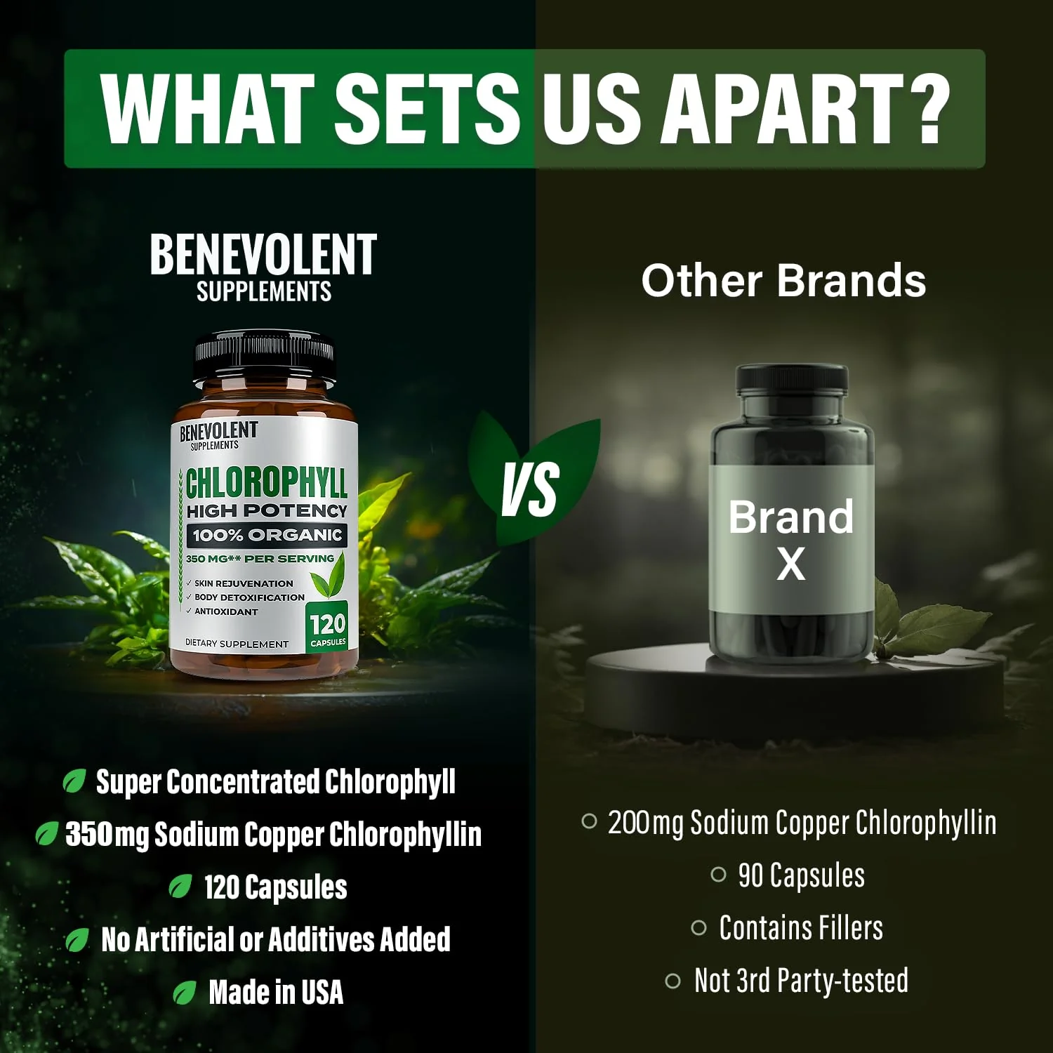 Benevolent Chlorophyll Capsules 350mg – 120 Caps | Natural, 20x Potency - Image 5