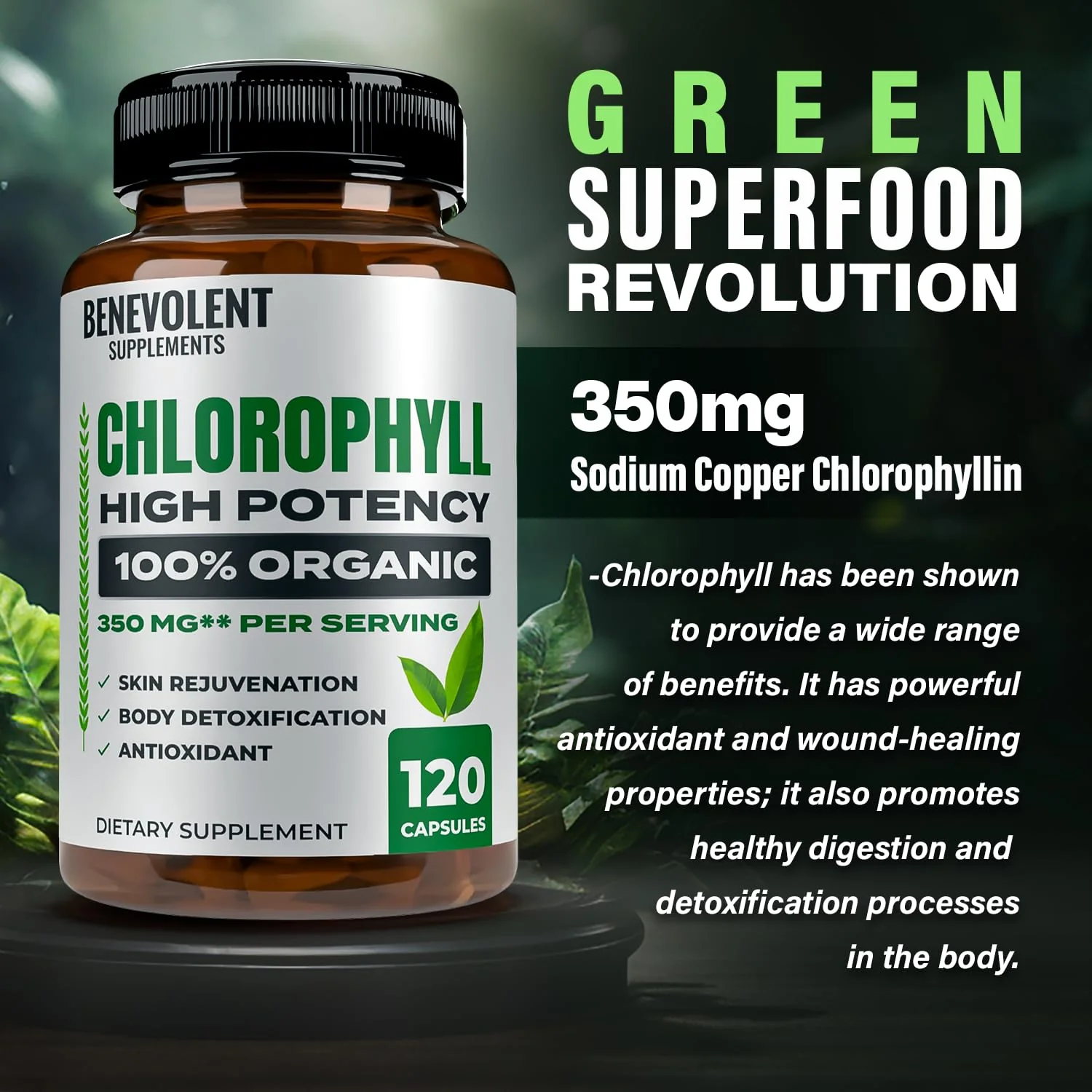Benevolent Chlorophyll Capsules 350mg – 120 Caps | Natural, 20x Potency - Image 6