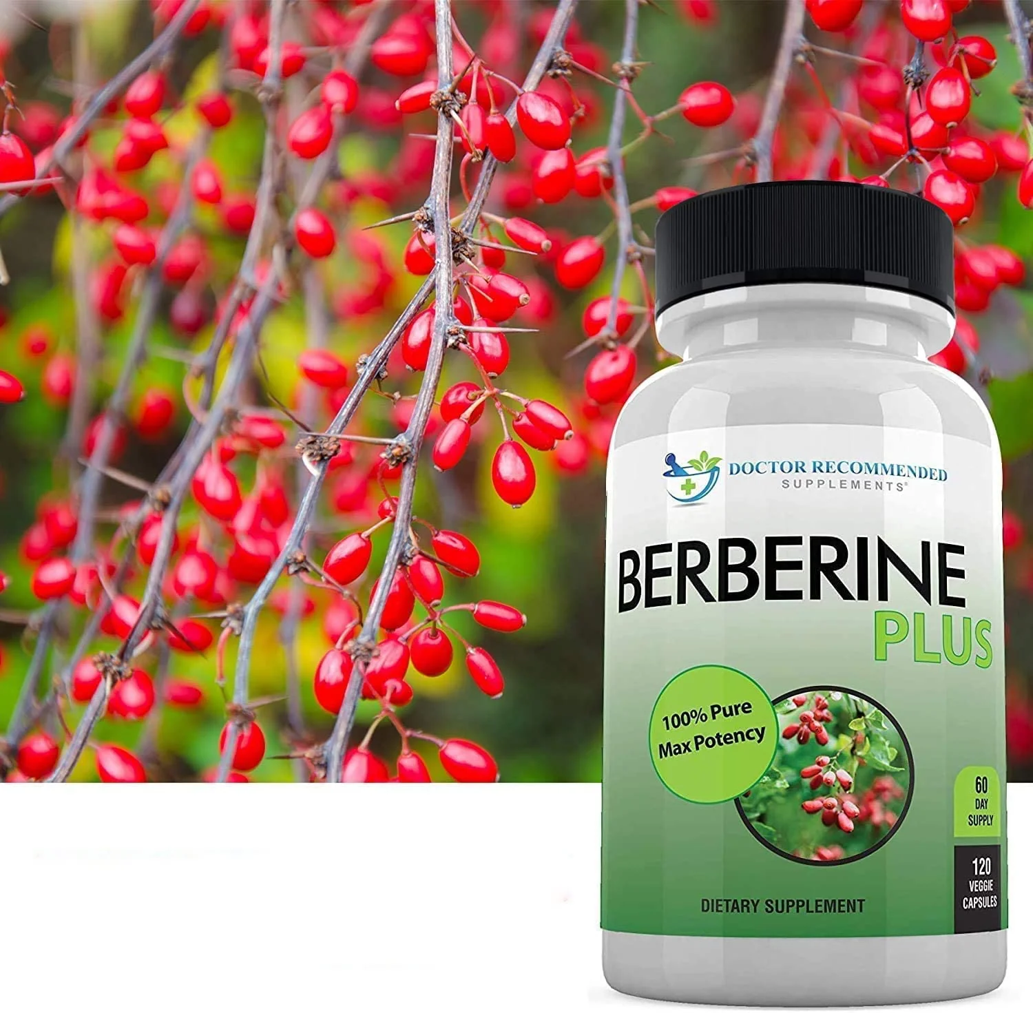 Berberine Plus 1200 mg | Doctor Recommended Supplements | 120 Veggie Capsules (Pack of 2) - Image 9