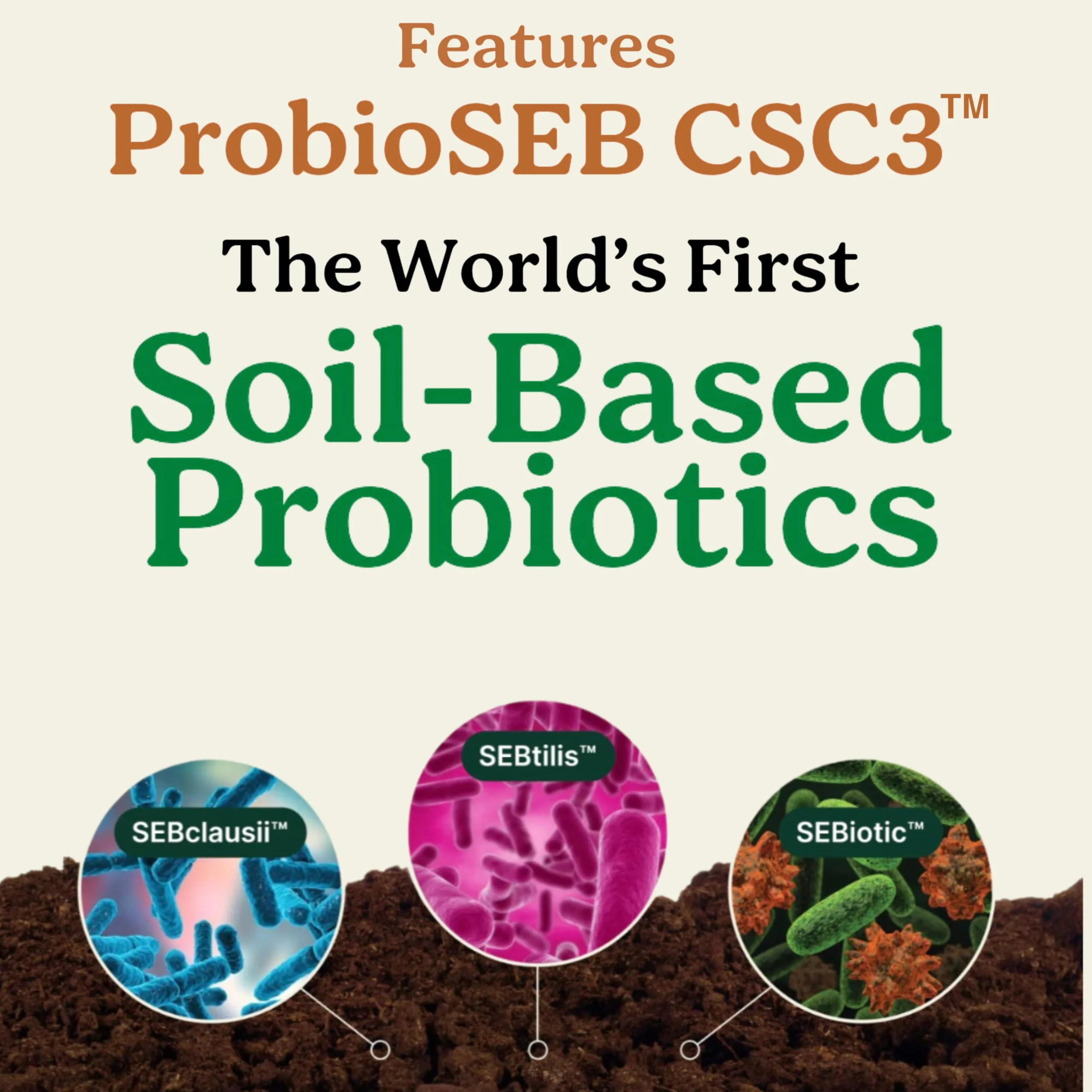 Best Days Formula | 5-in-1 Gut Support with Soil-Based Probiotics | Law Of Nature | 60 Capsules - Image 10