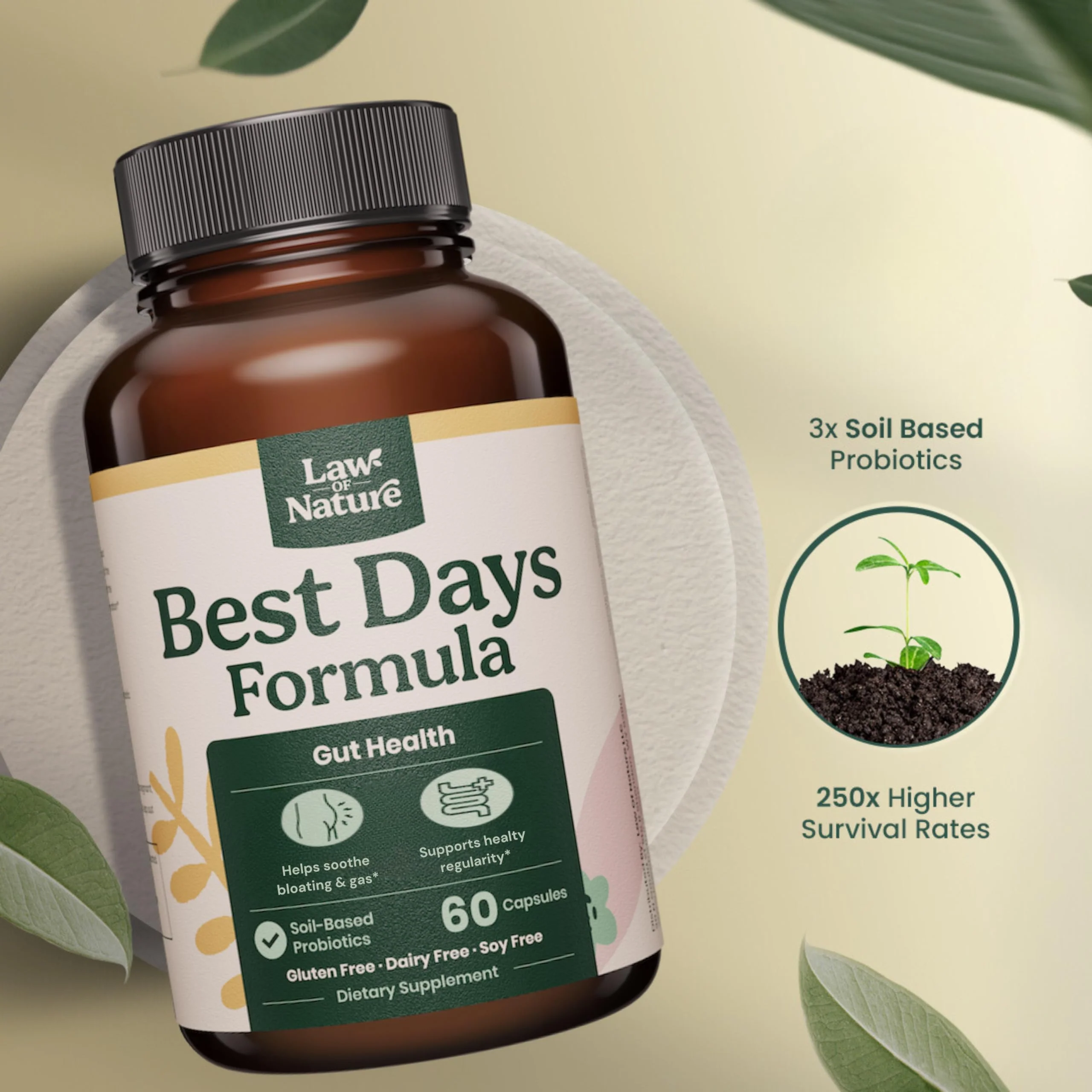 Best Days Formula | 5-in-1 Gut Support with Soil-Based Probiotics | Law Of Nature | 60 Capsules - Image 4