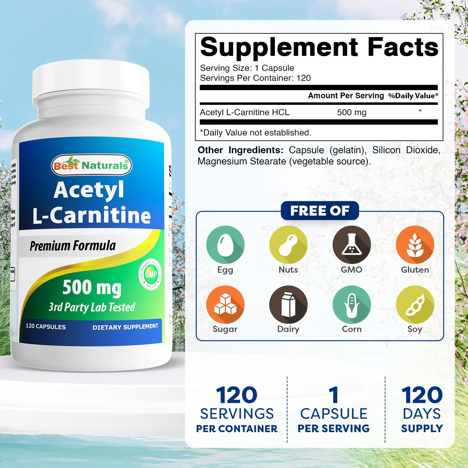 Best Naturals Acetyl L-Carnitine 500mg – 120 Servings (3 Pack) | Non-GMO & Gluten Free - Image 2