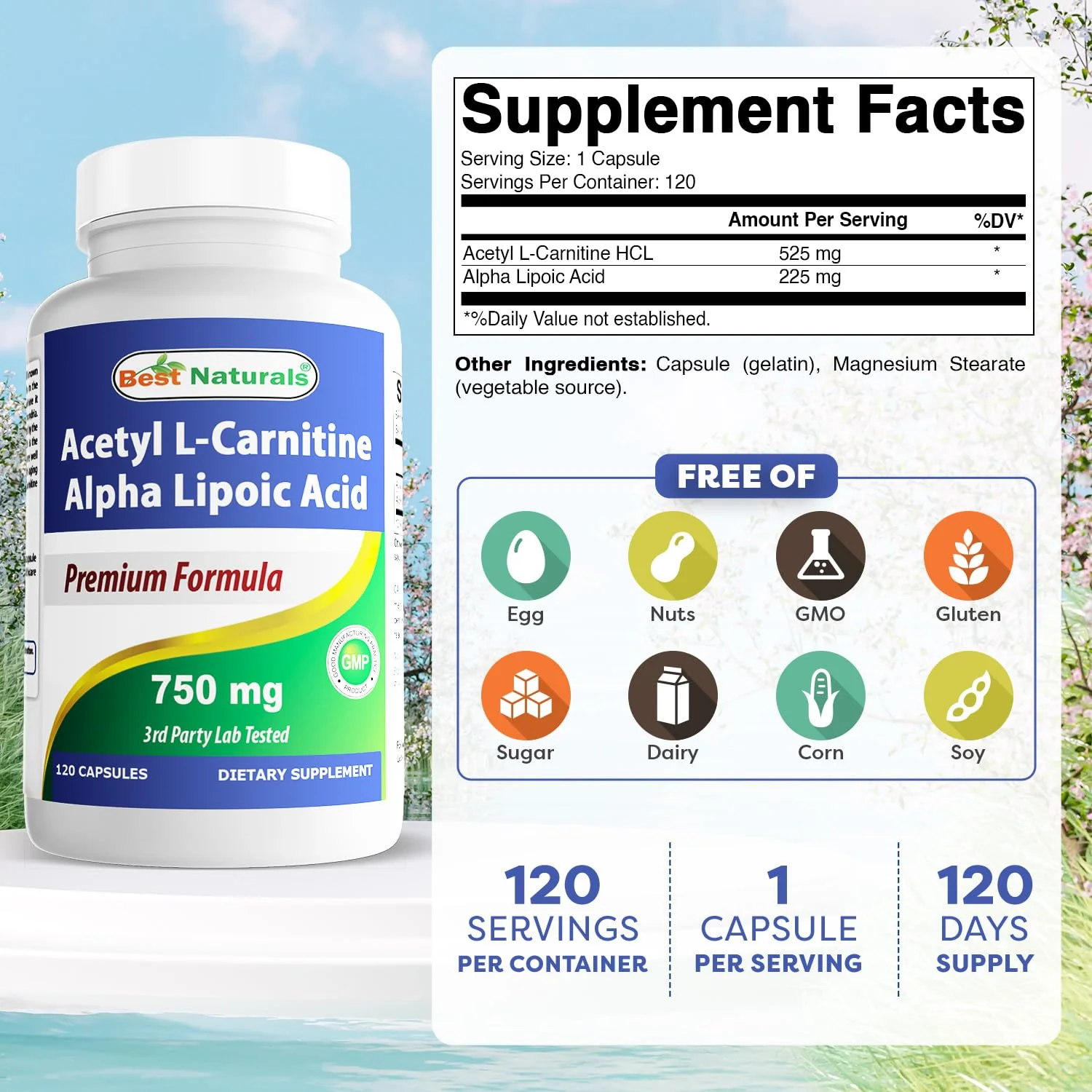 Best Naturals Acetyl L-Carnitine & Alpha Lipoic Acid 750 mg – 360 Count (3 x 120) - Image 9