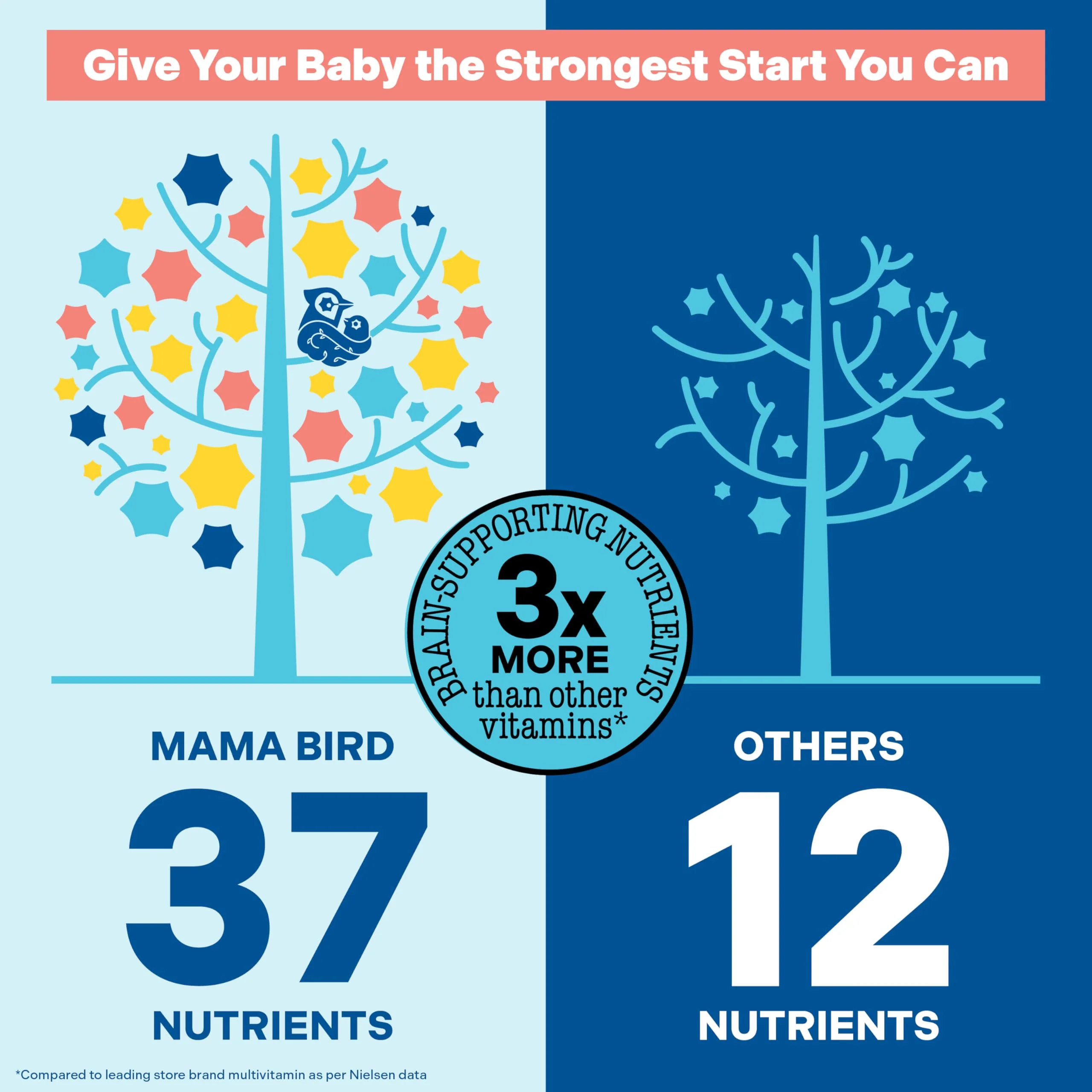 Best Nest Wellness Mama Bird Prenatal Multi+ No Iodine or Iron – 30 Servings, Brain-Ready Prenatal Vitamins - Image 11