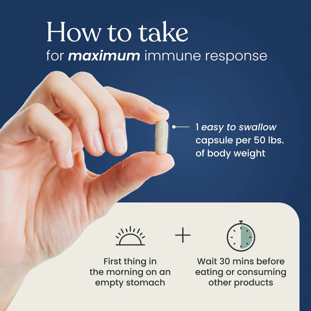 Better Way Health Advanced Immune Readiness Beta Glucan 500 — 500mg, 60 Capsules (Pack of 2) - Image 7