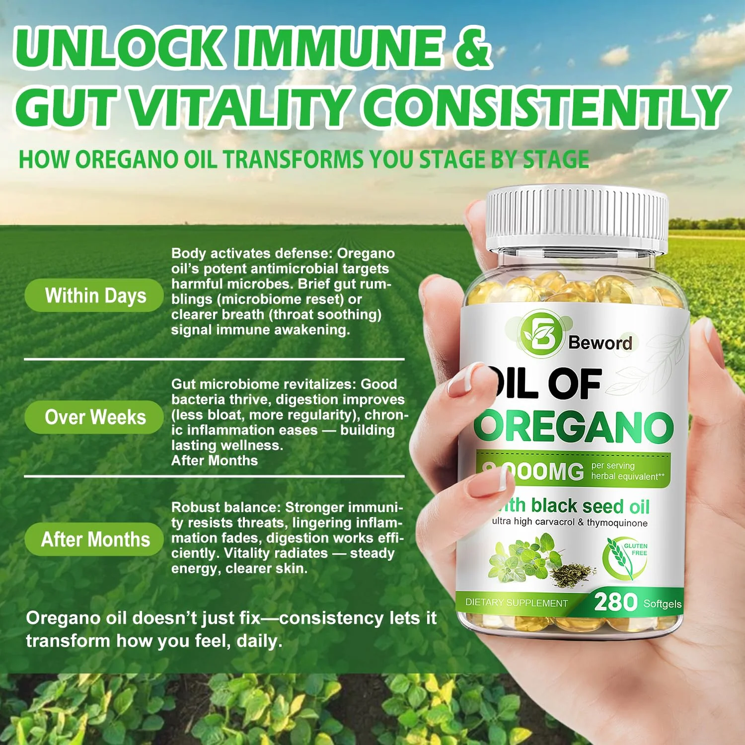 BEWORD Oil of Oregano 840 Softgels – 2-in-1 Oregano & Black Seed Oil for Immune & Antioxidant Support | Plant-Based, Non-GMO | 3-Pack - Image 12