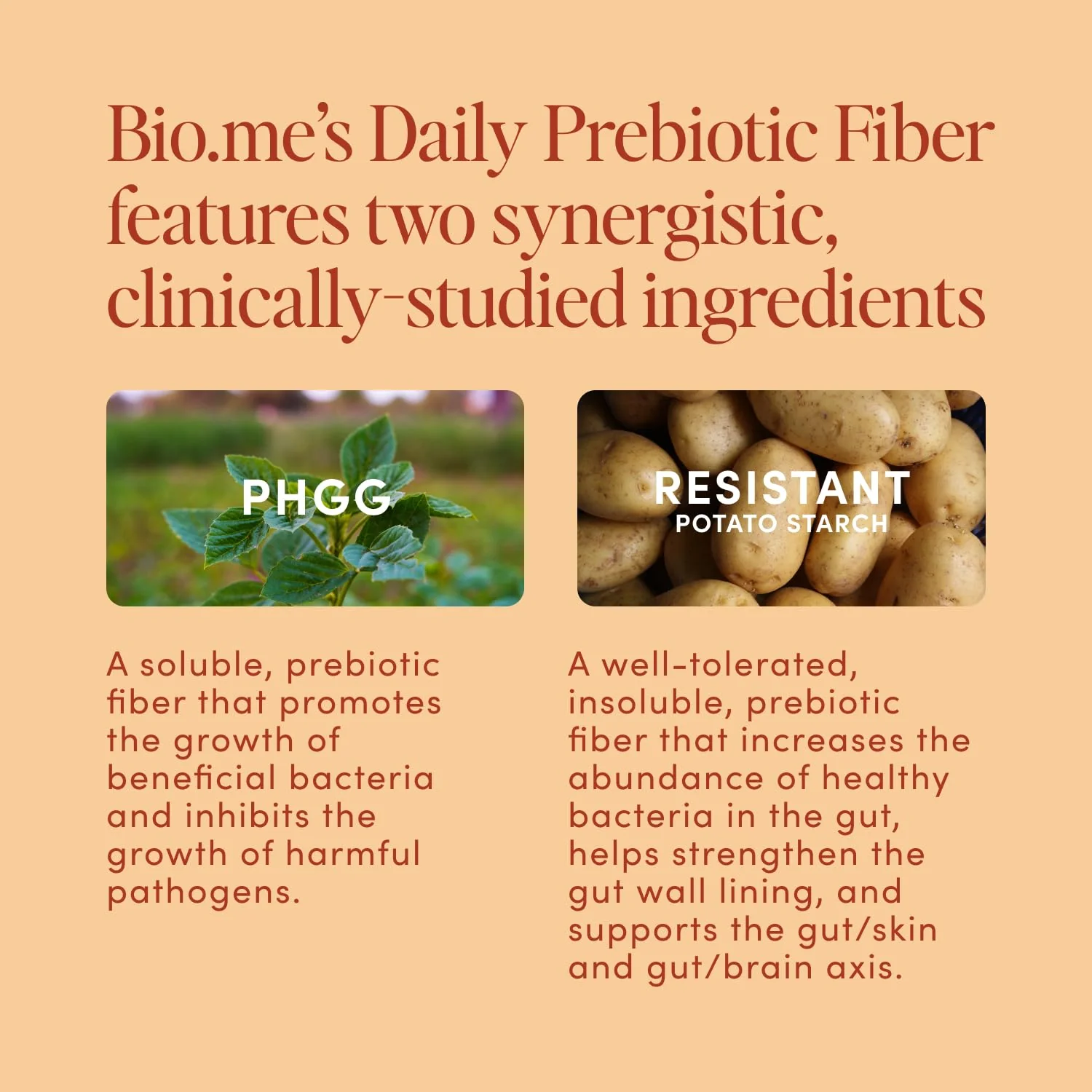 Bio.me Daily Prebiotic Fiber Powder – Chai, 7g per Serving | Digestive & Gut Health - Image 4