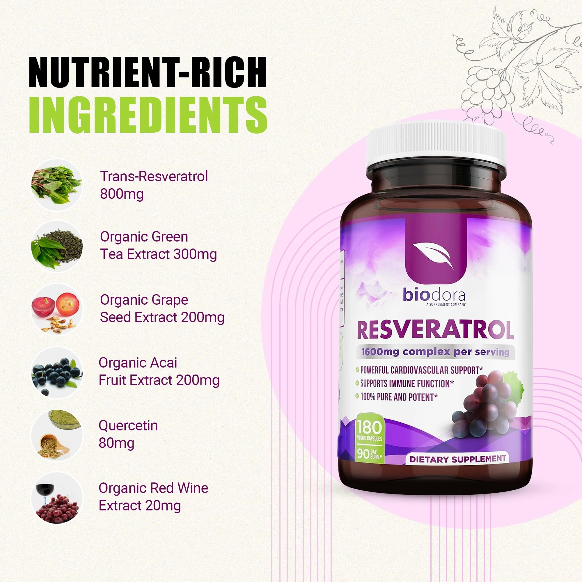 Biodora Resveratrol 1600mg – Trans-Resveratrol Antioxidant with Green Tea, Grape Seed & Quercetin | 180 Capsules - Image 3