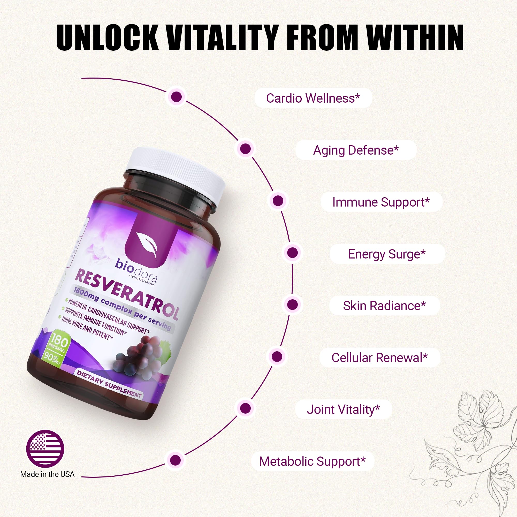Biodora Resveratrol 1600mg – Trans-Resveratrol Antioxidant with Green Tea, Grape Seed & Quercetin | 180 Capsules - Image 4