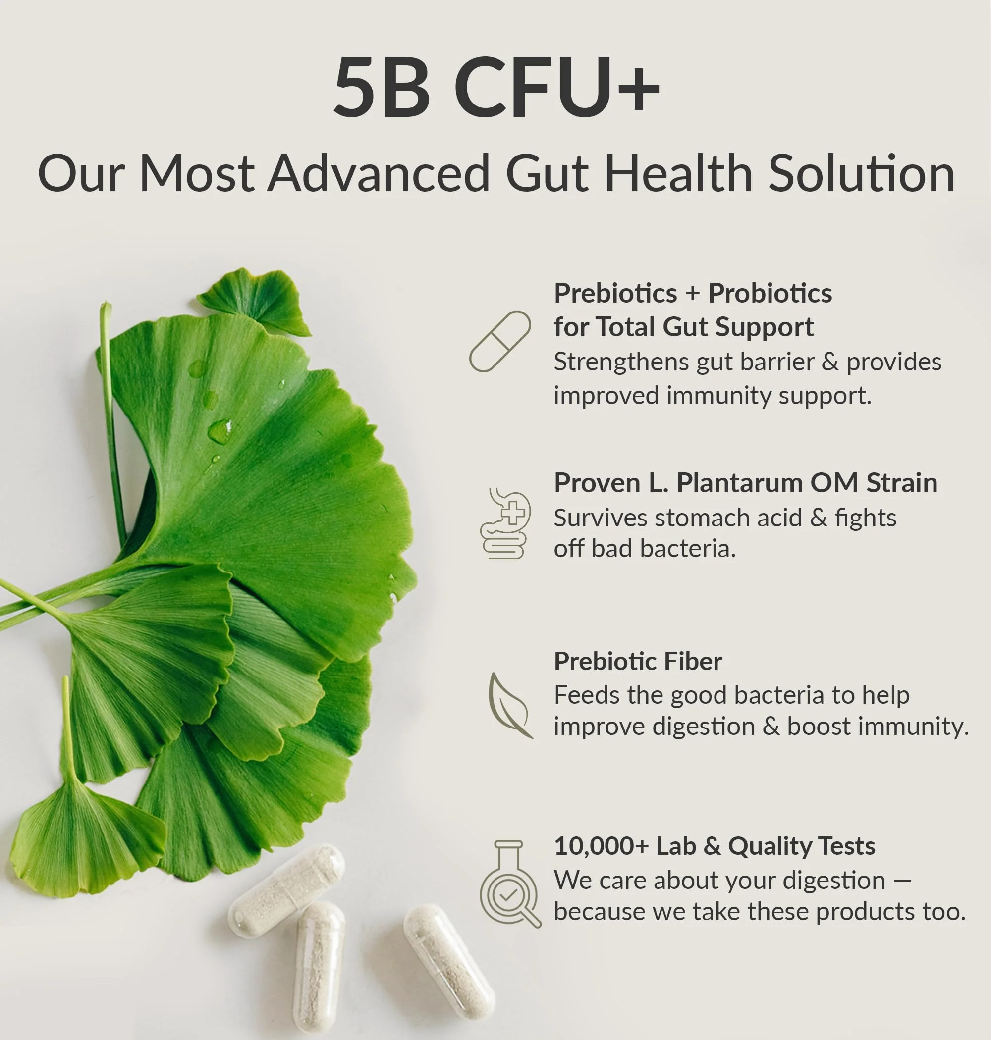 BIOptimizers Probiotic Breakthrough – Lactobacillus Plantarum OM Probiotics & Prebiotics for Gut Health, Digestion & Immunity – 120 Vegan Capsules - Image 4