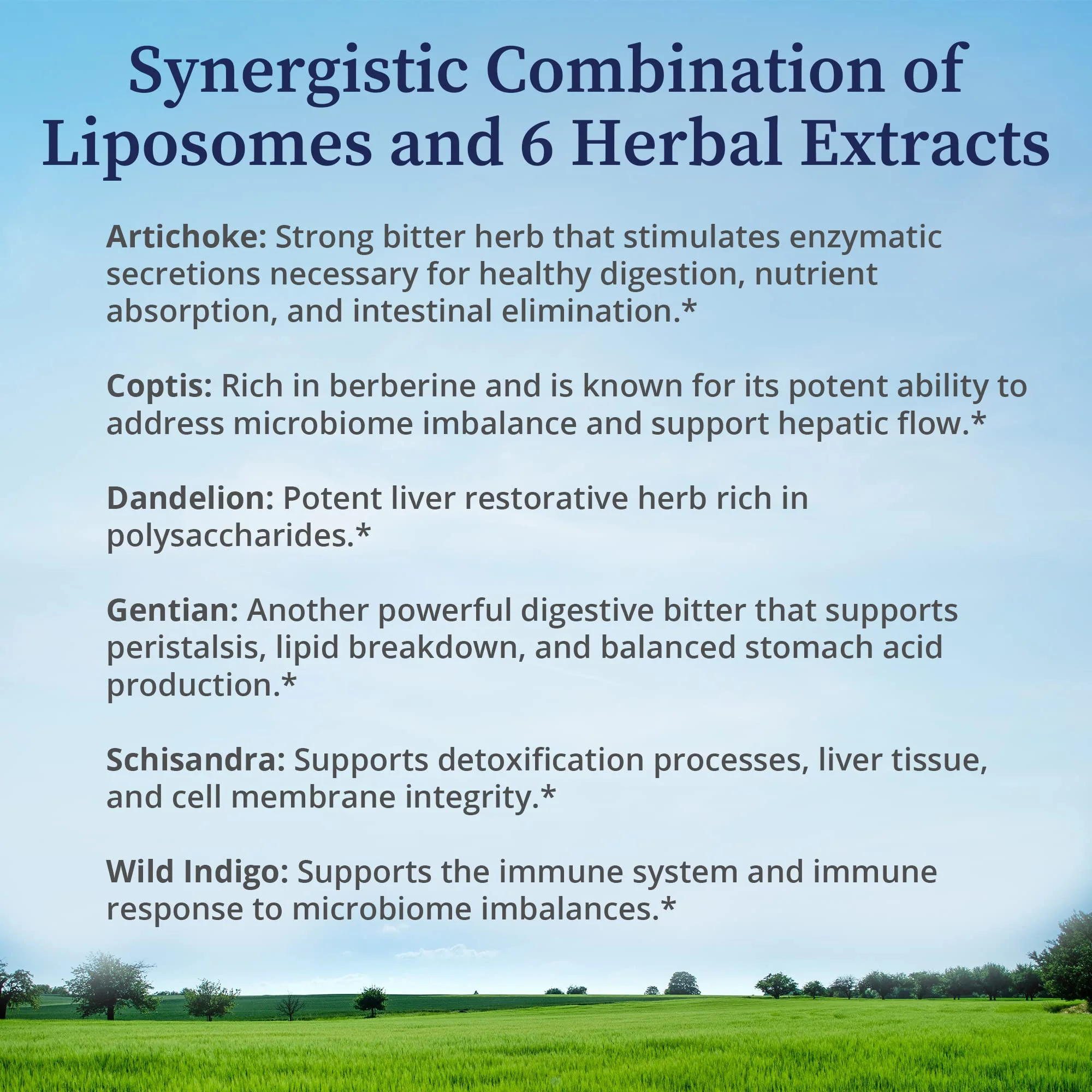 BioPure Livessence Herbal Tincture – 6-Extract Liposomal Liver, Gallbladder & Gut Support | 4 oz - Image 4
