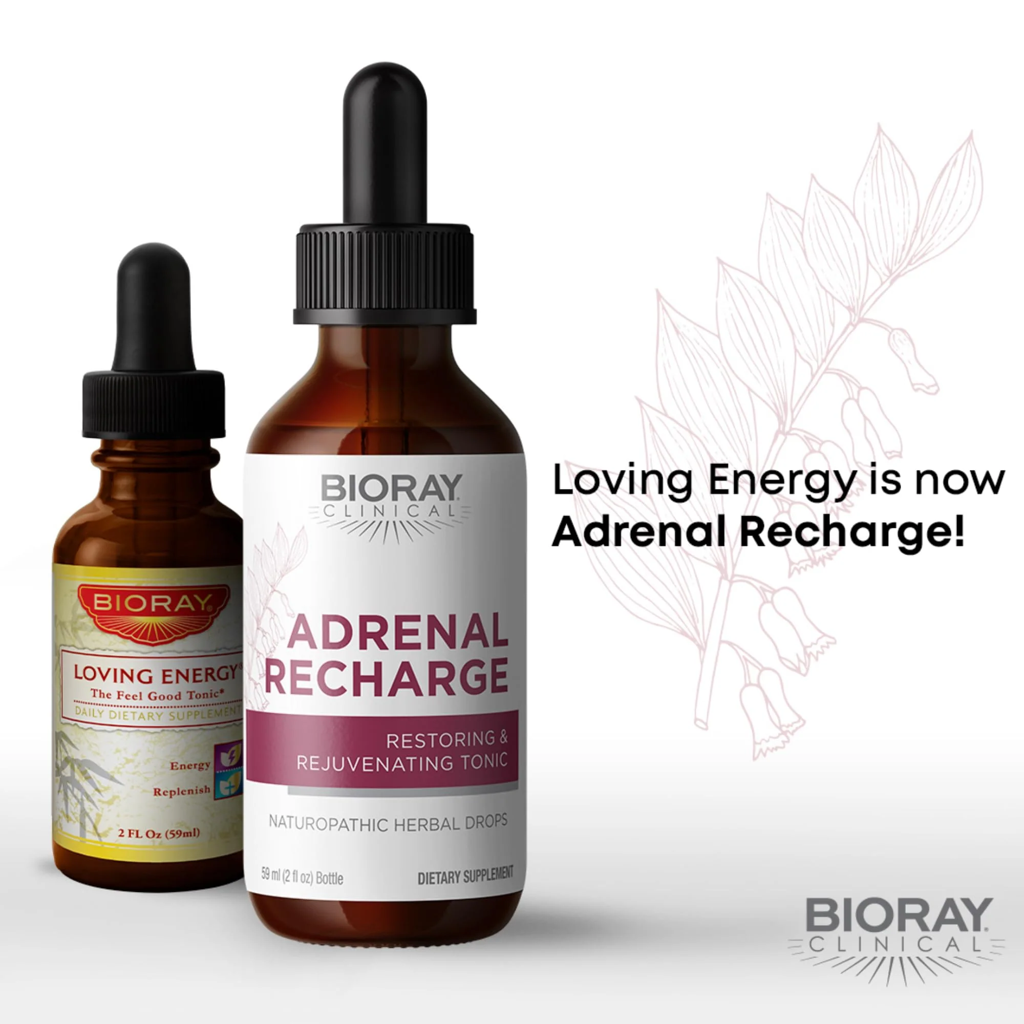 BIORAY Adrenal Recharge - 4 fl oz Tincture | Restoring & Rejuvenating, Non-GMO, Vegan, Gluten Free - Image 6