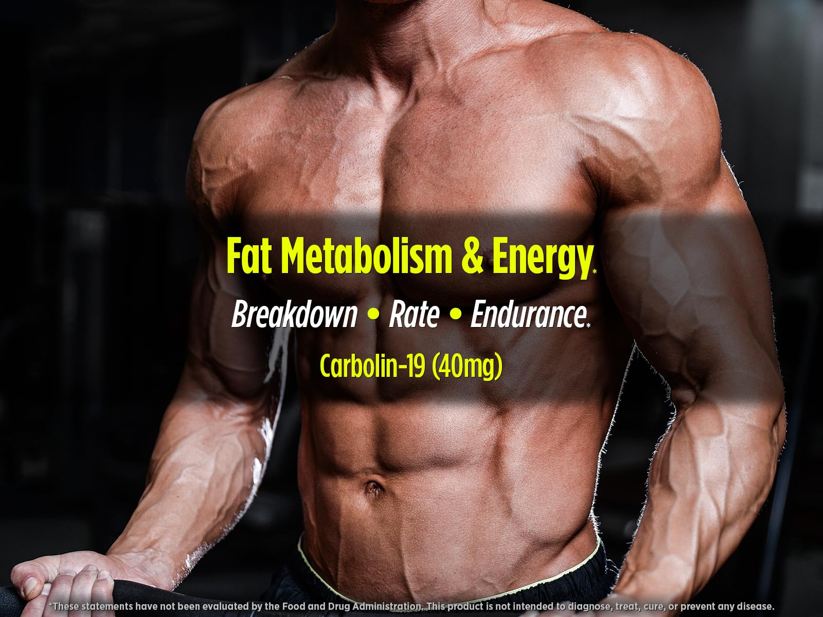 Biotest Carbolin 19 – Long-Lasting Forskolin for Fat Metabolism & Performance, 60 Softgels - Image 11