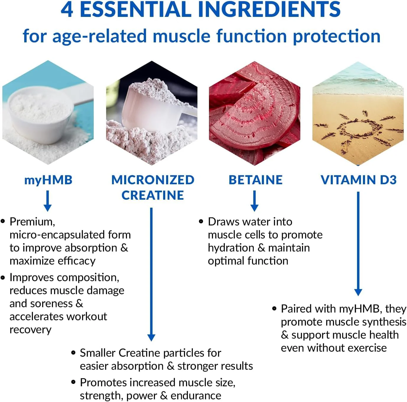 BioTrust Ageless Muscle Builder - Creatine HMB Powder with Vitamin D3 & Betaine | Build & Preserve Muscle Mass Naturally Declining with Age - Fruit Punch, 60 Servings - Image 11