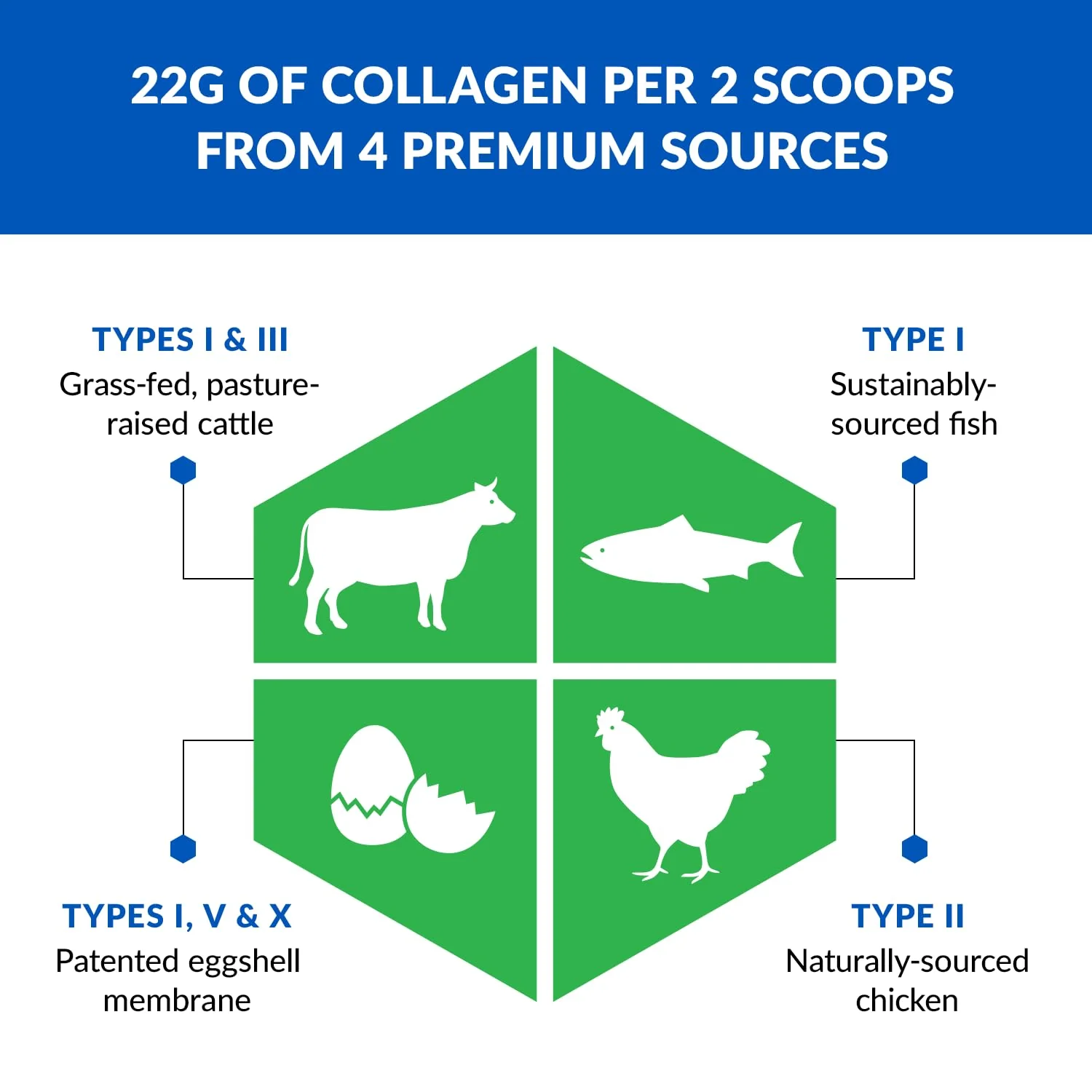 BioTrust Collagen Powder with Turmeric – 5 Types (I, II, III, V, X) Golden Milk - Image 4