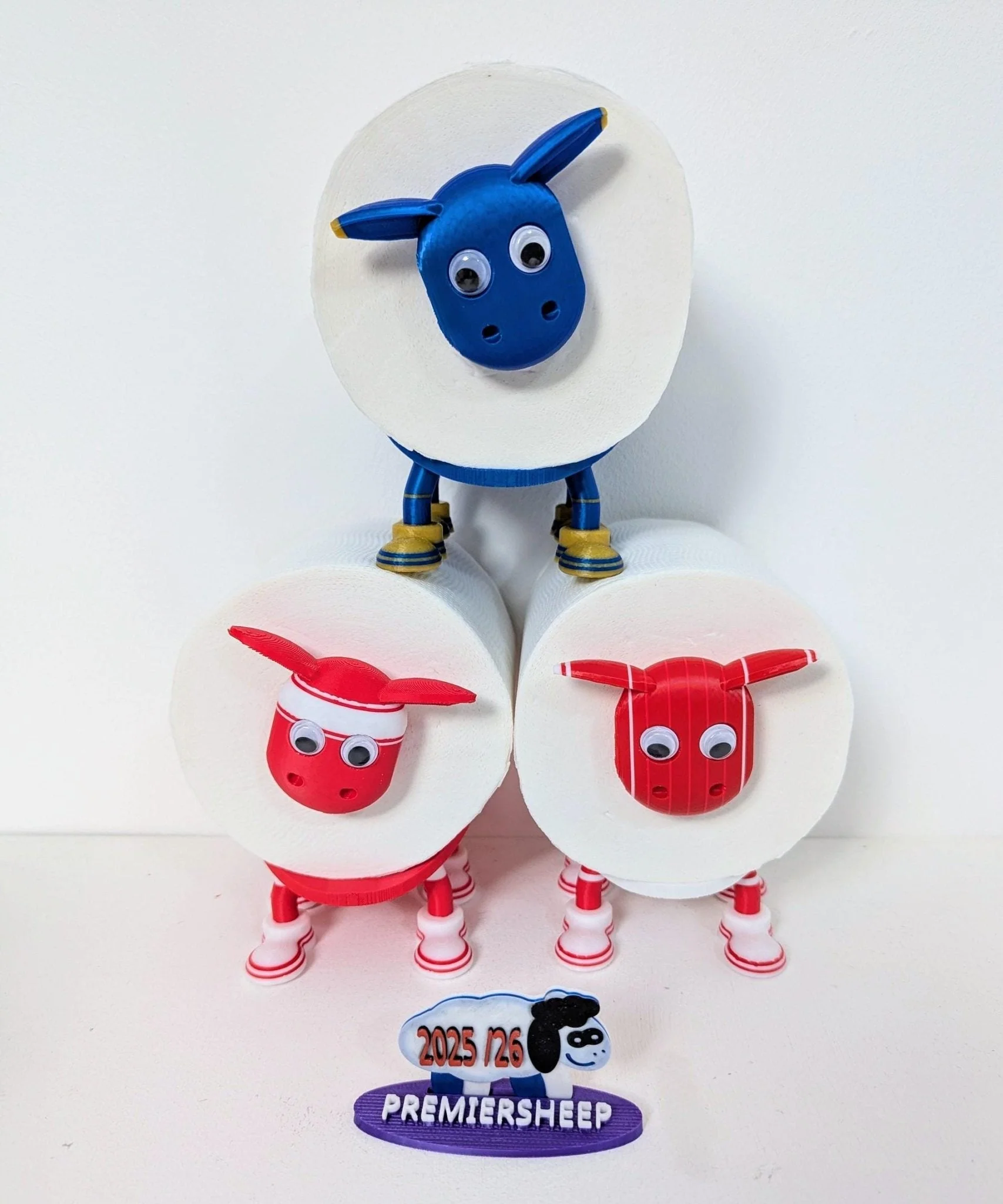 Birmingham City Toilet Roll Holder – New 2025/26 Premiersheep Series, - Image 9