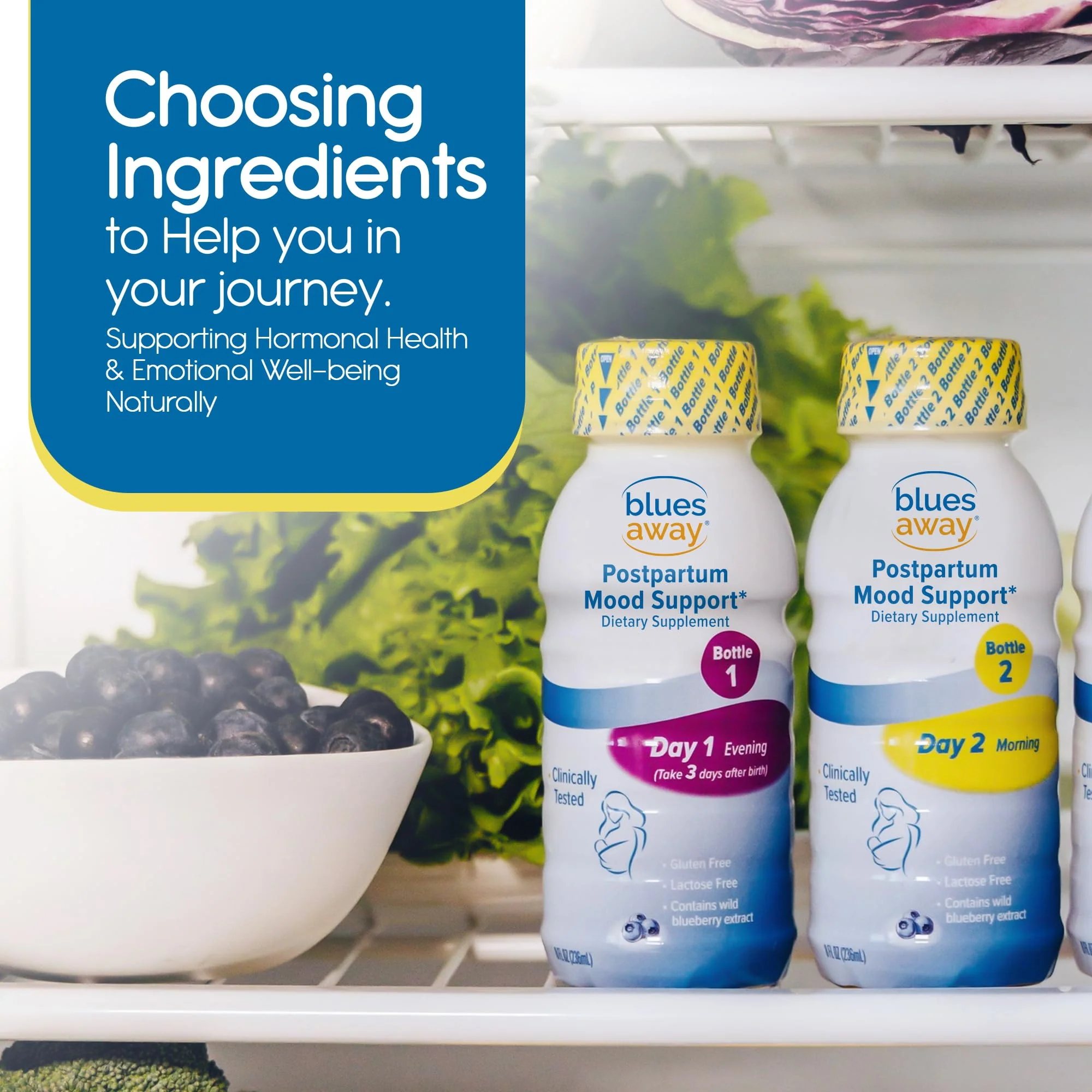 Blues Away Postpartum Mood Support Drink – 3-Day Shake Kit (4 Bottles) - Image 5