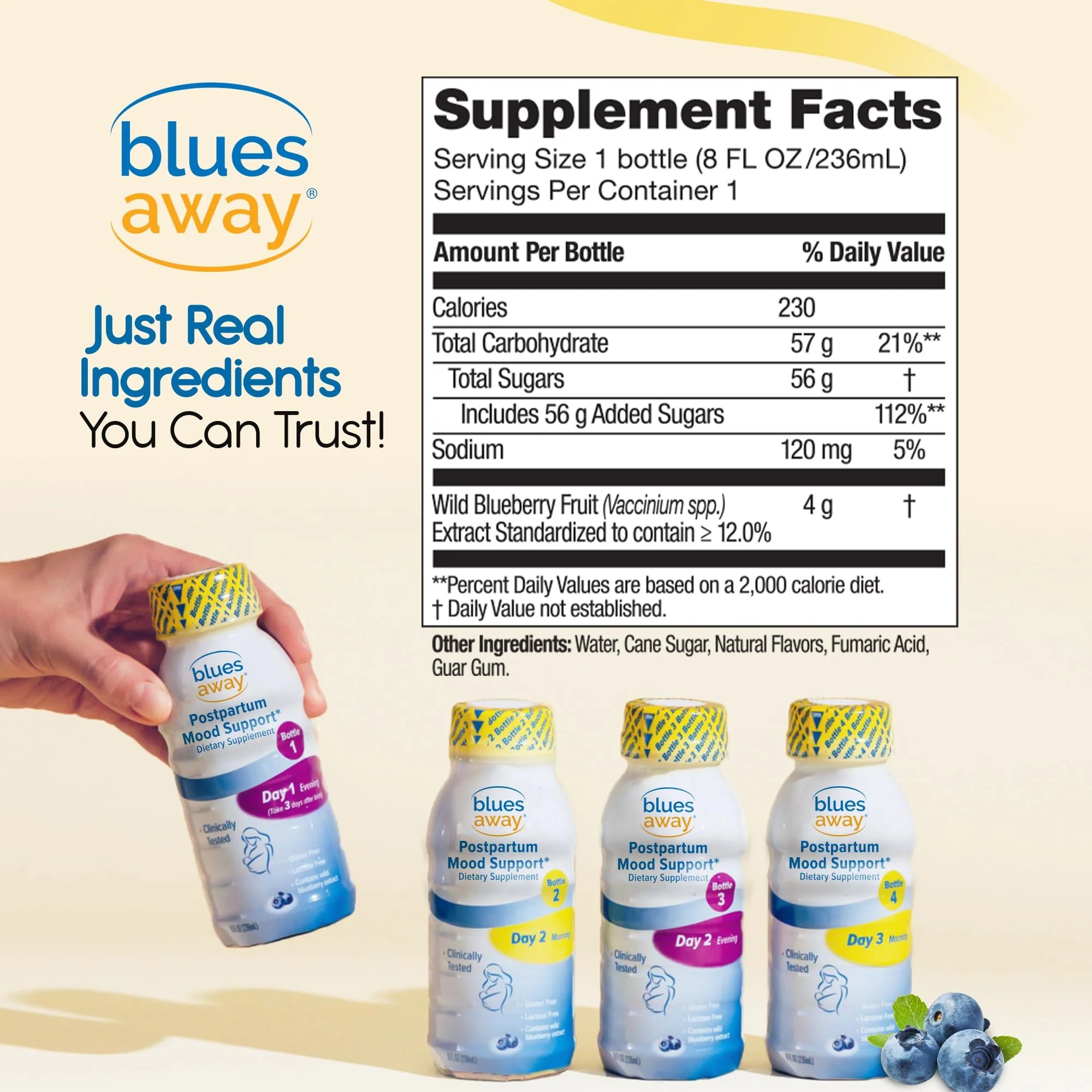 Blues Away Postpartum Mood Support Drink – 3-Day Shake Kit (4 Bottles) - Image 7
