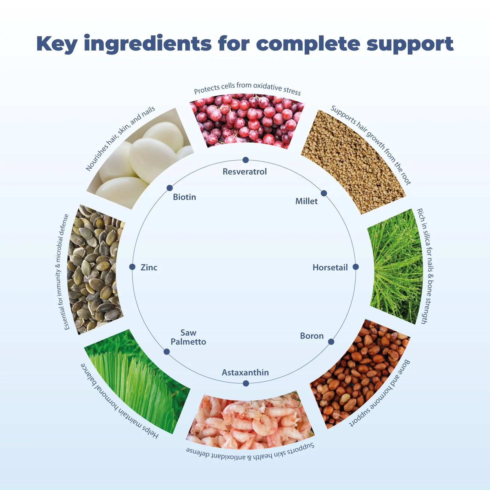 BM10 Max Boron Supplement – Hair, Skin & Nails | Michelle Peiret | 60 Veg Caps - Image 3