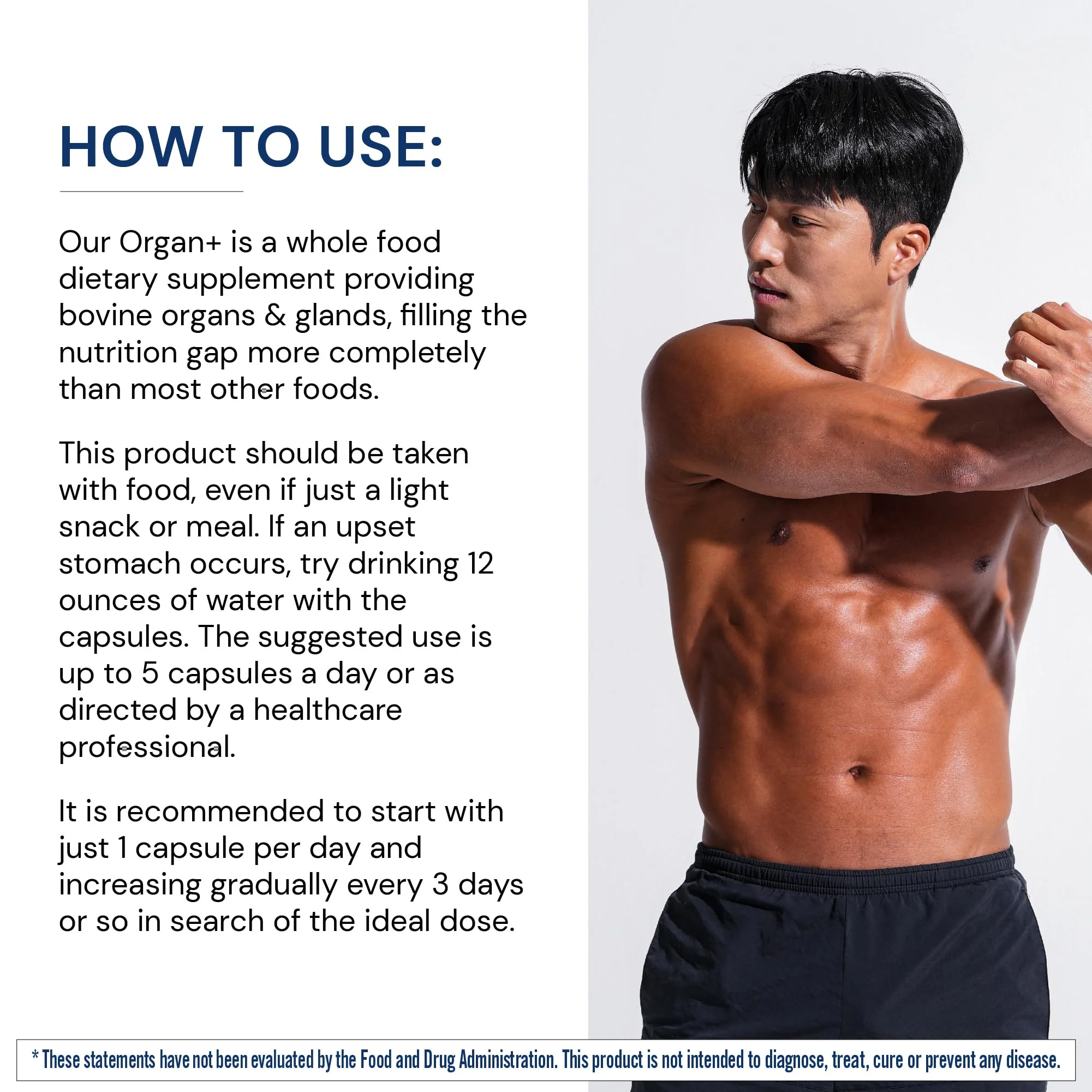 BodyHealth Organ+ Grass-Fed Glandular Complex – Grass-Fed Beef Organ Supplement (150 Capsules) - Image 2