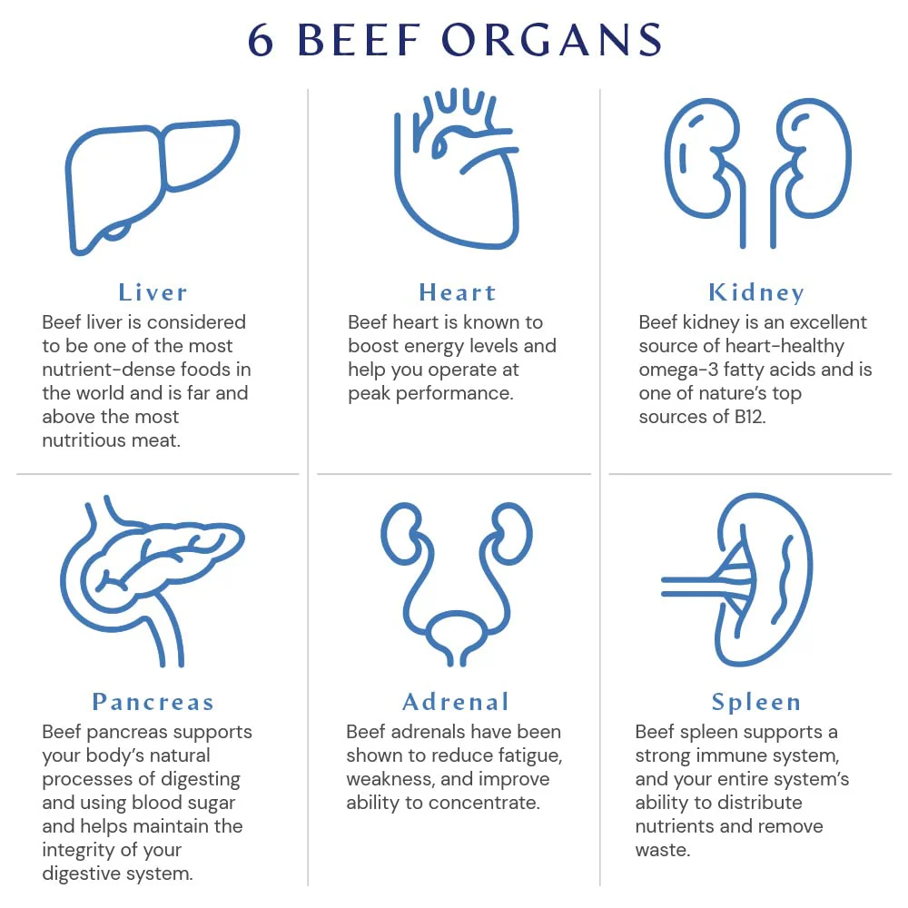 BodyHealth Organ+ Grass-Fed Glandular Complex – Grass-Fed Beef Organ Supplement (150 Capsules) - Image 7
