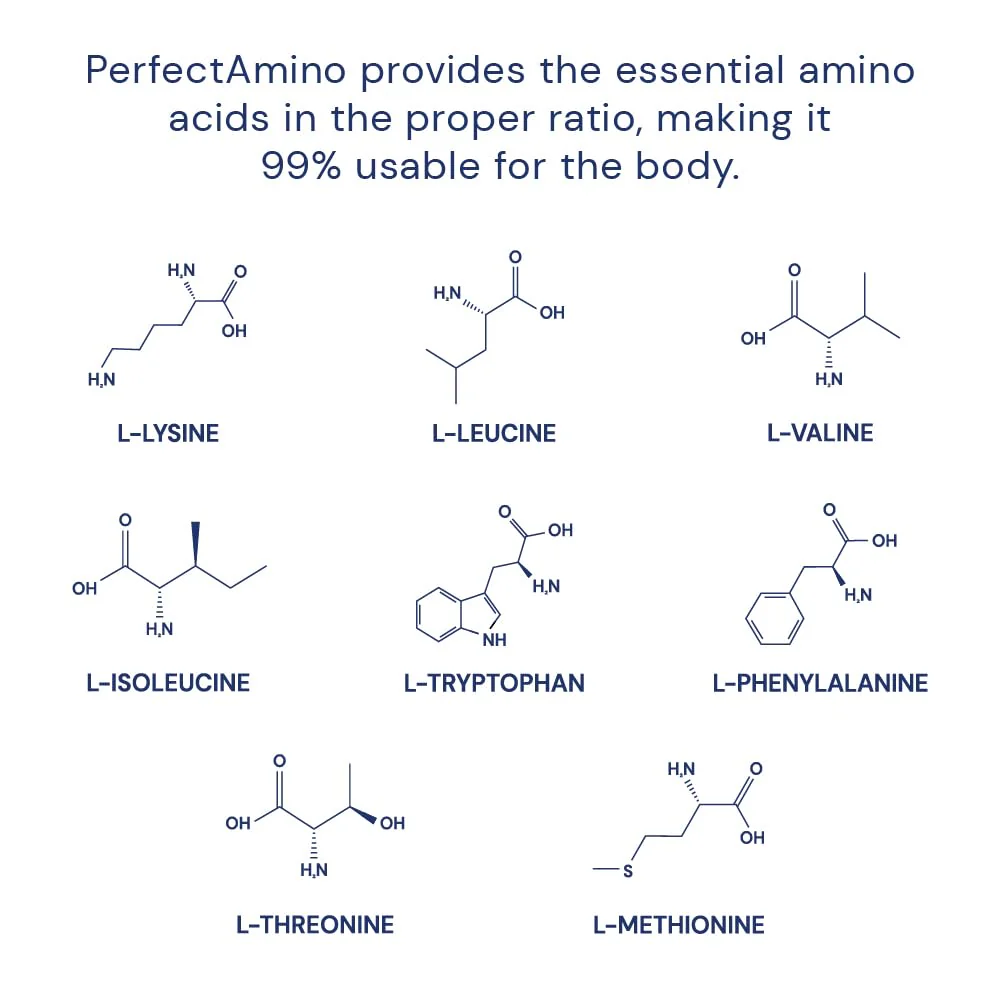 BodyHealth PerfectAmino 150 ct – Easy-to-Swallow Vegan Amino Acids with BCAAs for Muscle Recovery - Image 4