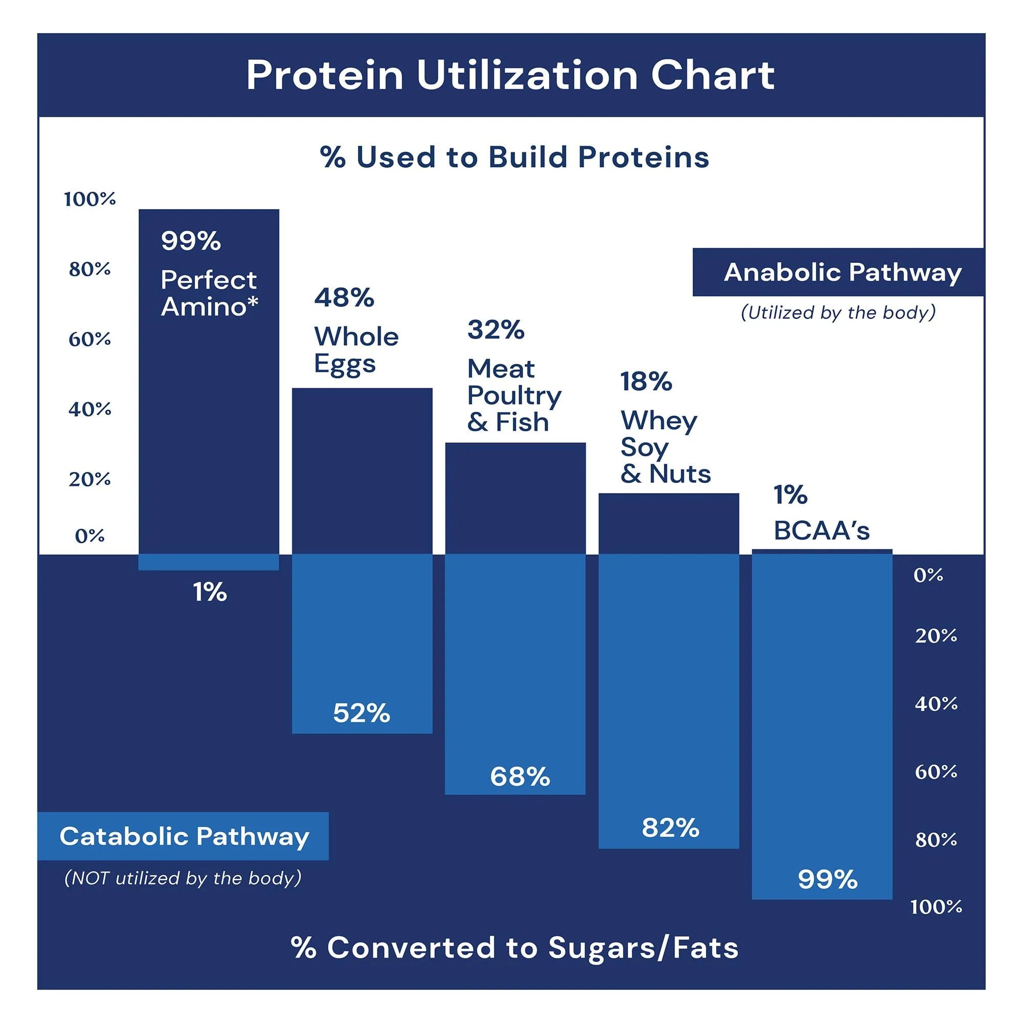 BodyHealth PerfectAmino (300 ct) – Easy to Swallow Vegan Amino Acids for Pre/Post Workout - Image 6