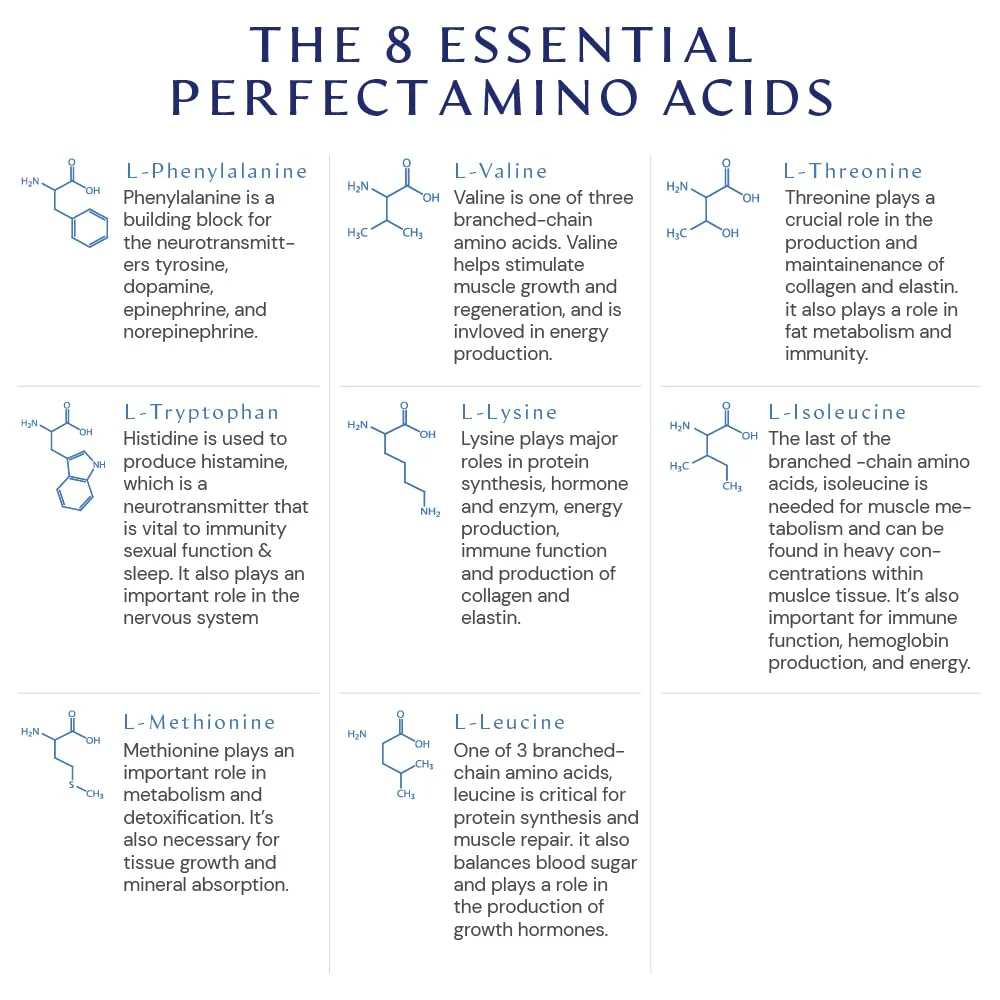 BodyHealth PerfectAmino Tablets - Essential Amino Acids + BCAAs (150ct + 30ct Travel Bottle) - Image 6