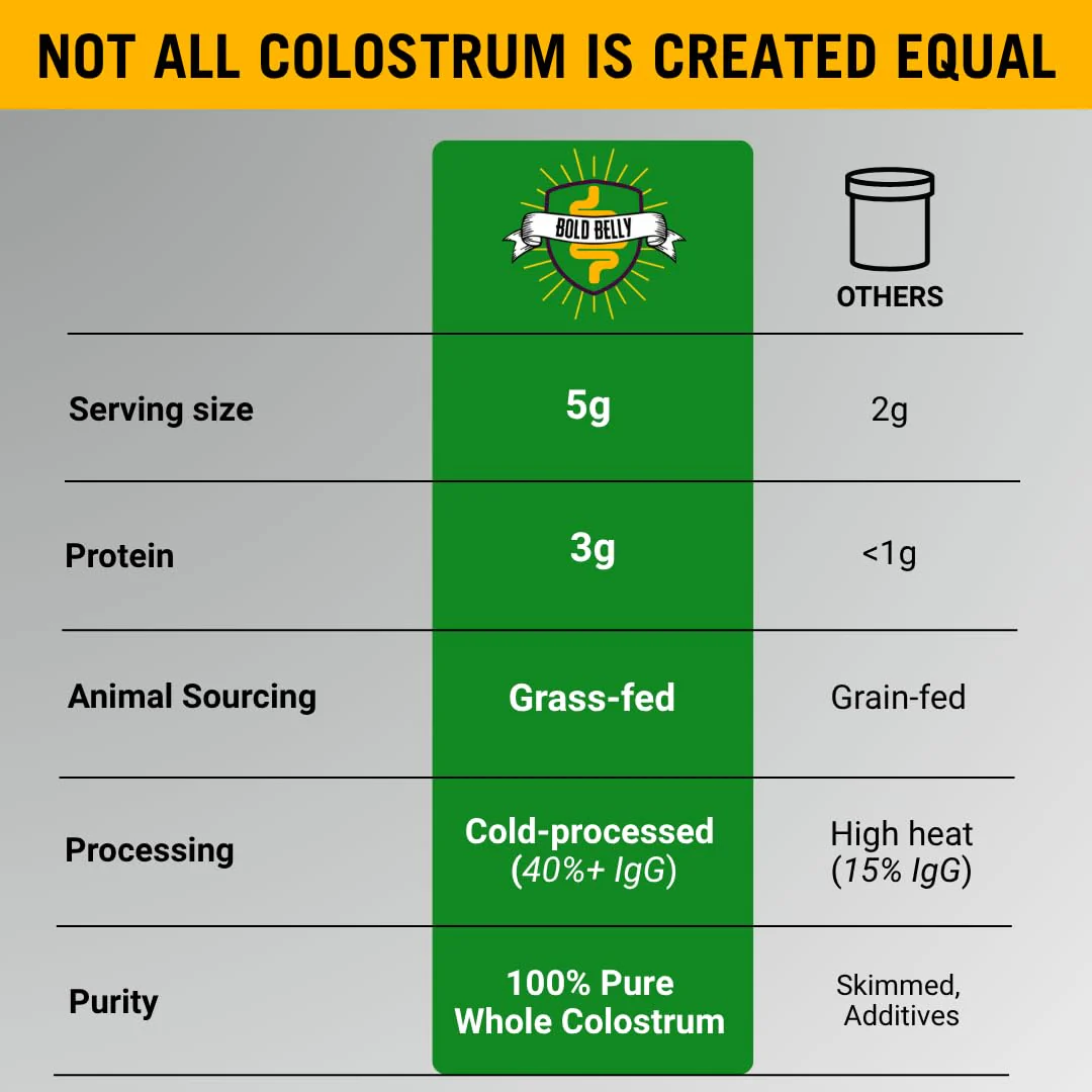 Bold Belly Colostrum Powder Supplement - Whole Cream Bovine Colostrum for Gut & Immune Support, Grass-Fed USA Cows, Cold-Processed, Natural IgG Colostrum Superfood, Unflavored - 5.3 OZ - Image 7