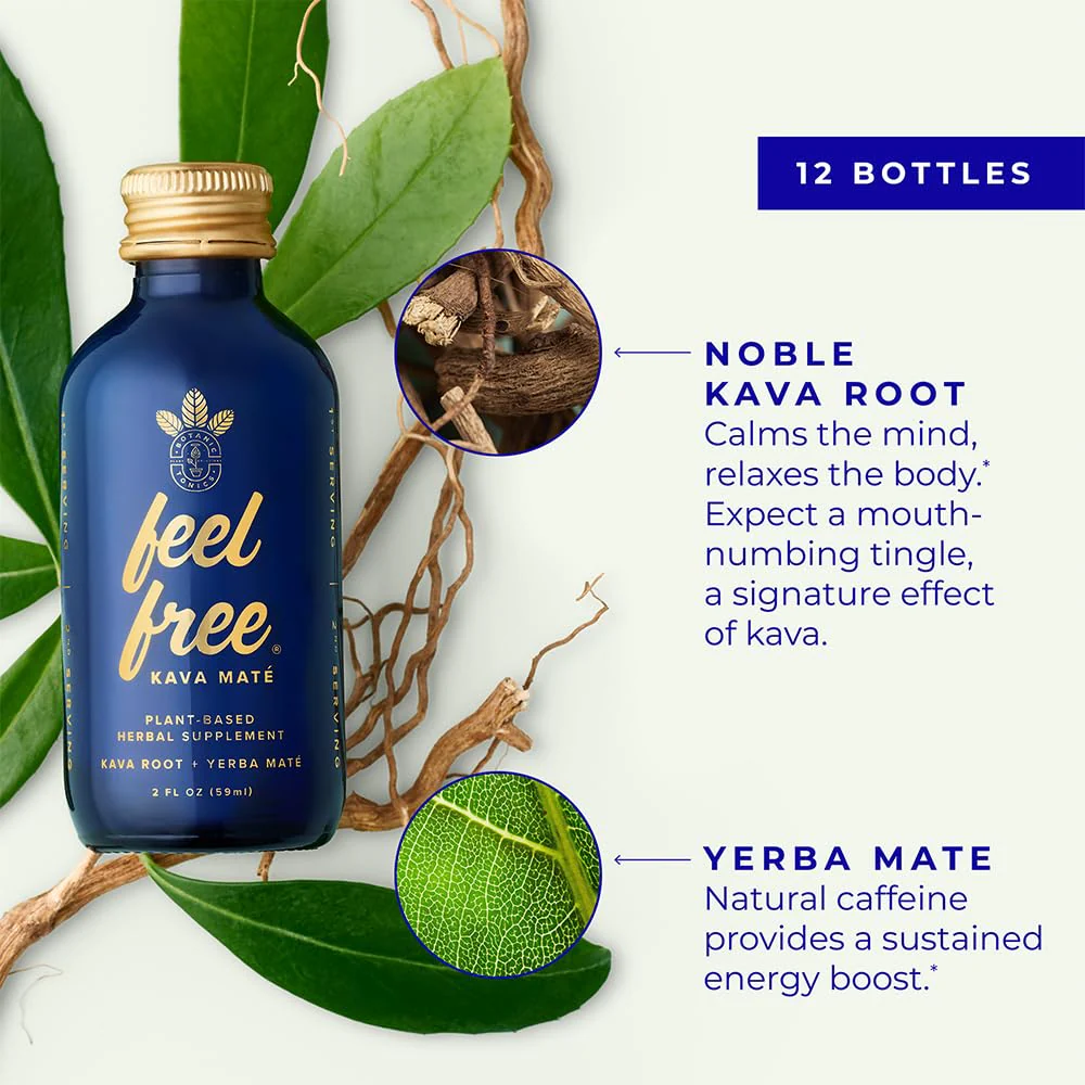 Botanic Tonics Kava Mate - Natural Energy with Kava Root & Yerba Mate | 12-Pack (24 Servings) - Image 3