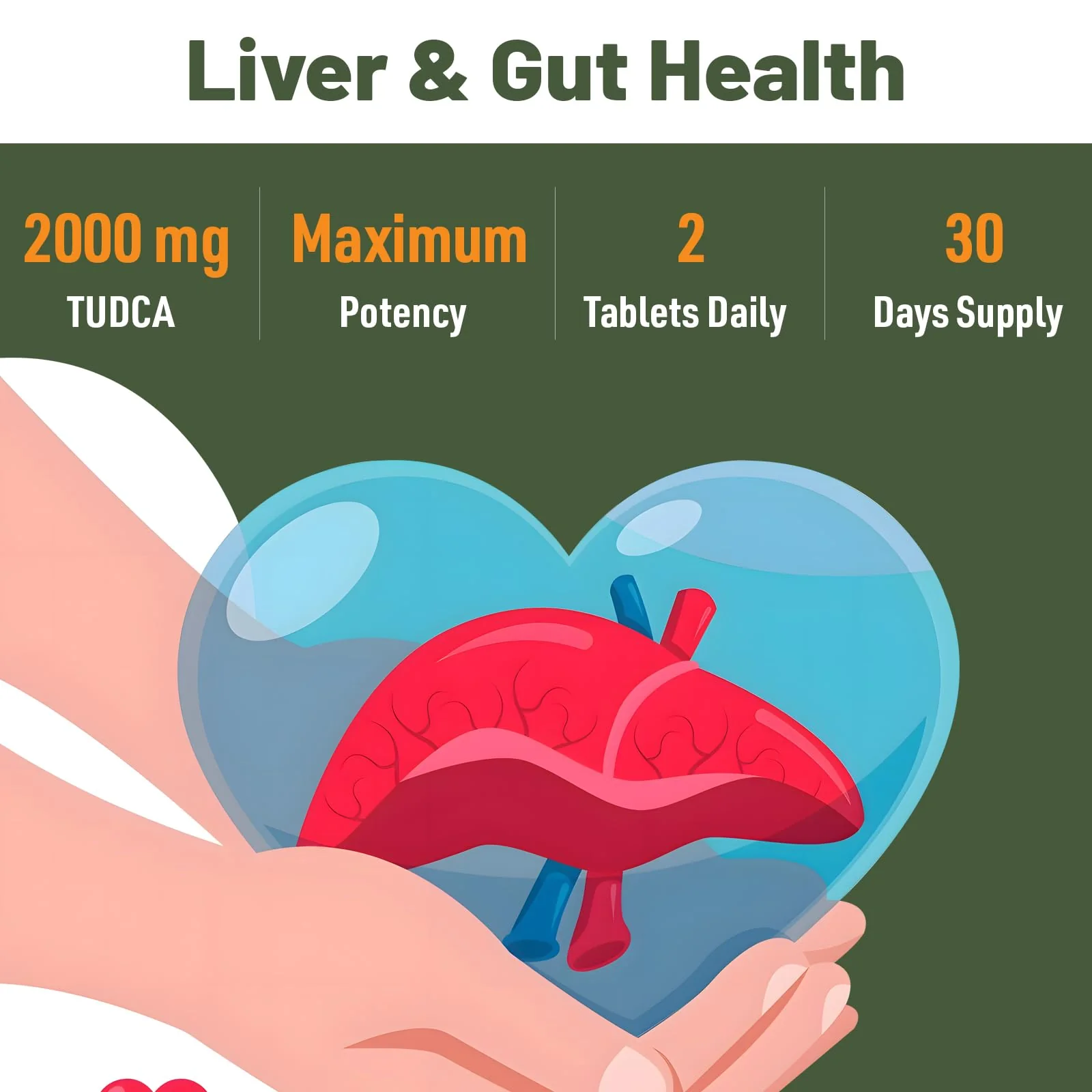 Canarata TUDCA 2000mg – Liver Detox, Bile Salts Support & Liver Health – 60 Day Supply - Image 5