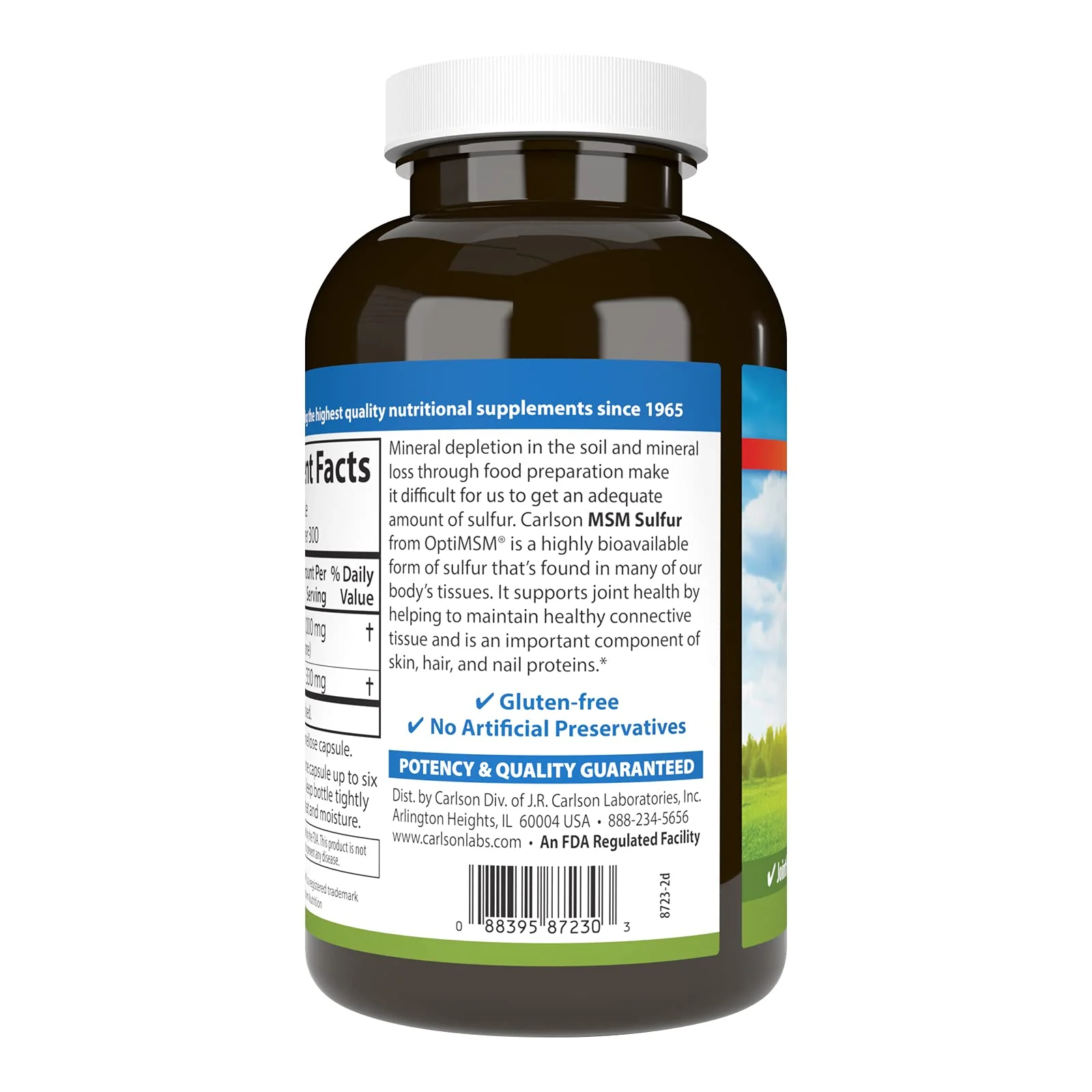 Carlson MSM Sulfur 1000 mg – Superior Bioavailability, Joint Support, Connective Tissue & Healthy Skin | 300 Vegetarian Capsules - Image 3