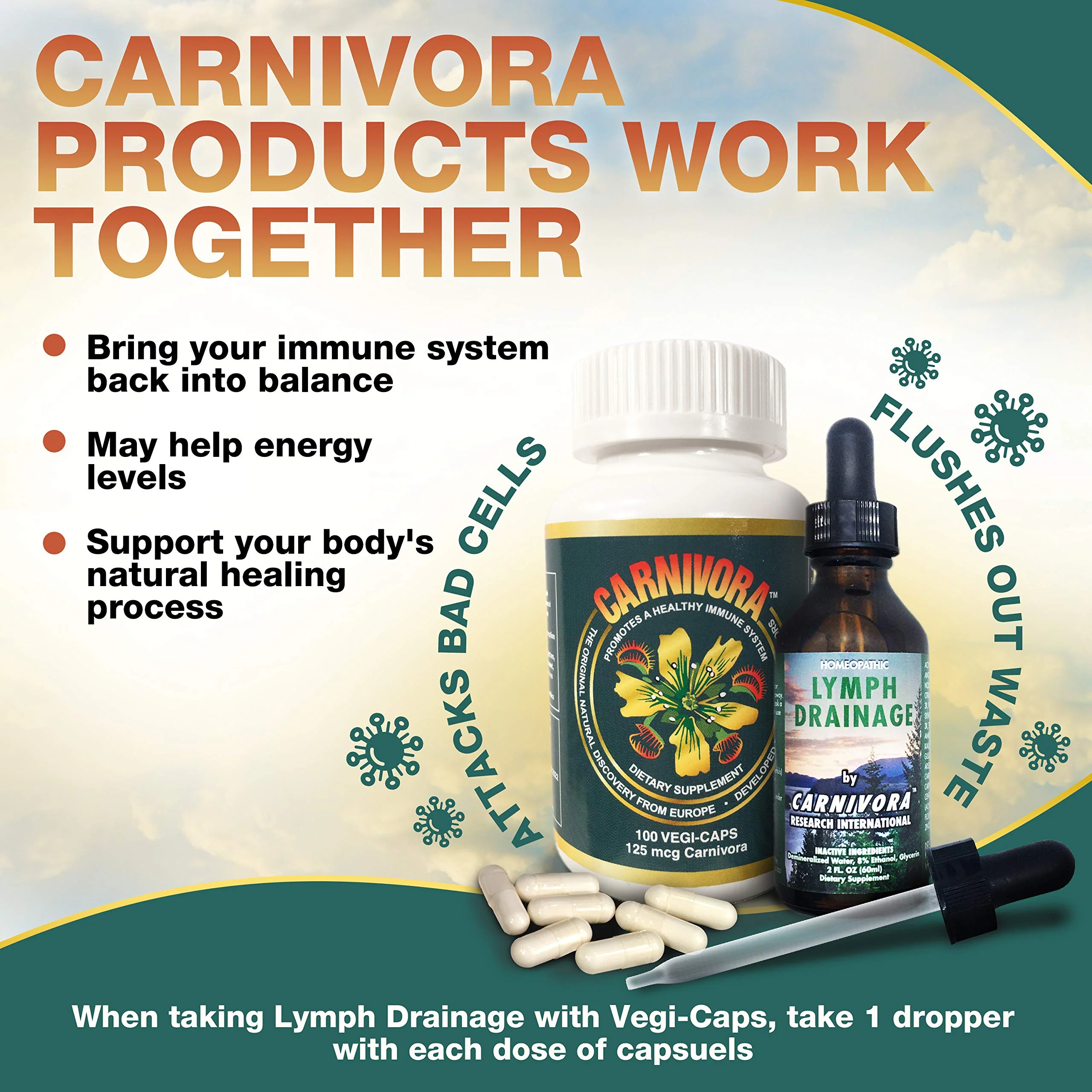 Carnivora Vegi-Caps - Gluten Free, Vegan Capsules for Immune Support (100 Capsules) - Image 4