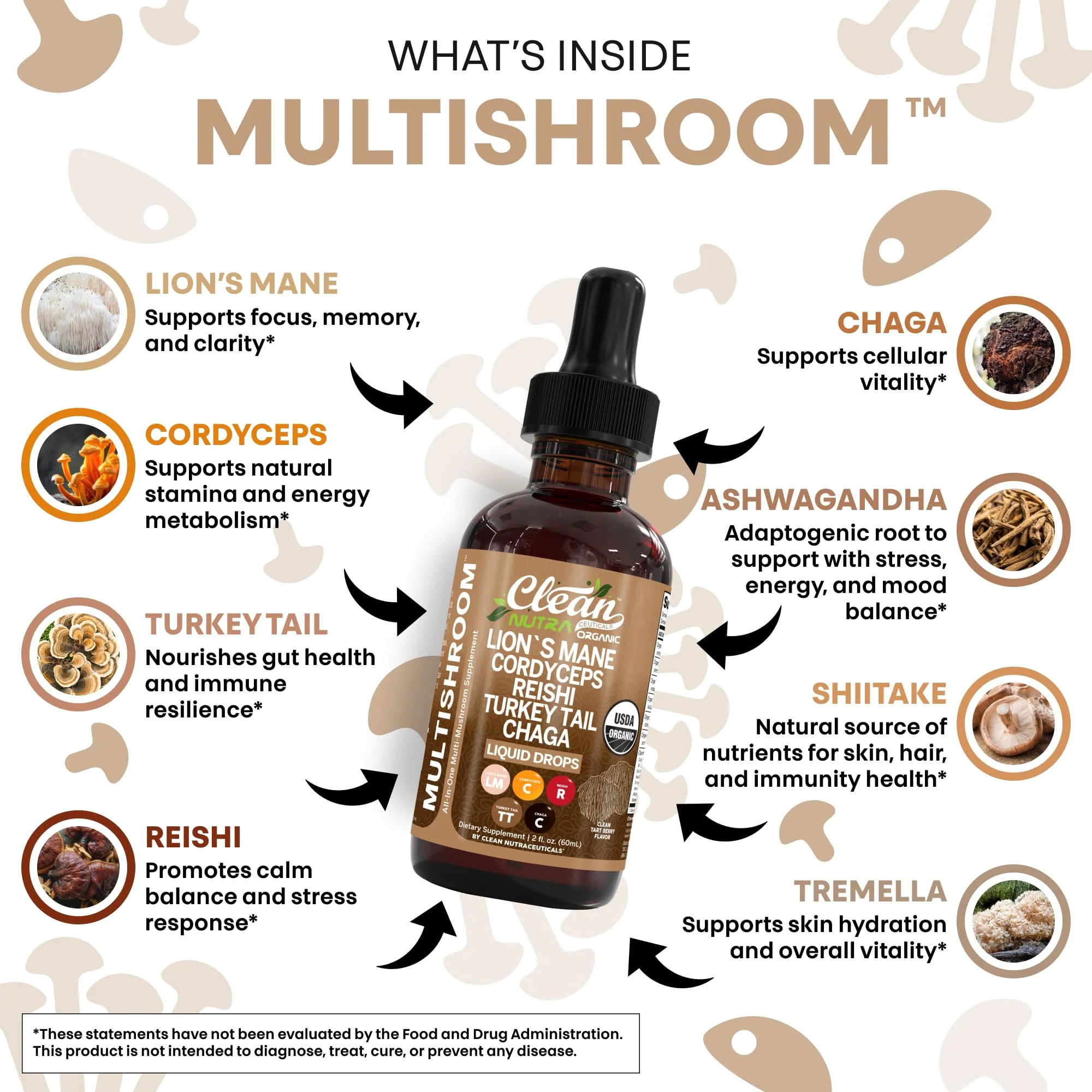 Clean Nutra Mushroom Liquid Drops | Lions Mane, Cordyceps, Reishi & Turkey Tail - Image 12