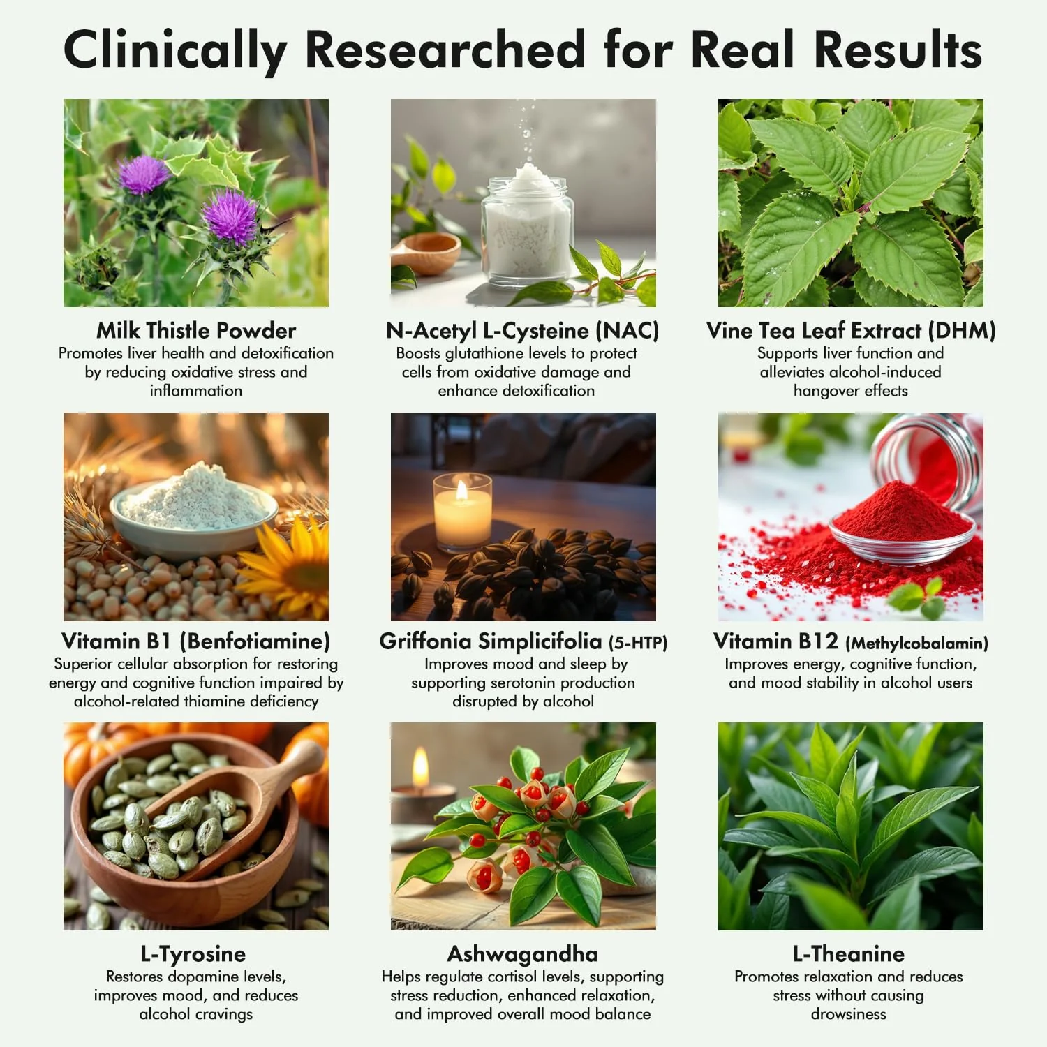 Cloud9 Daily Restore – Liver Detox & Recovery Supplement with Milk Thistle, NAC & B-Vitamins | 120 Capsules | Made in USA - Image 8