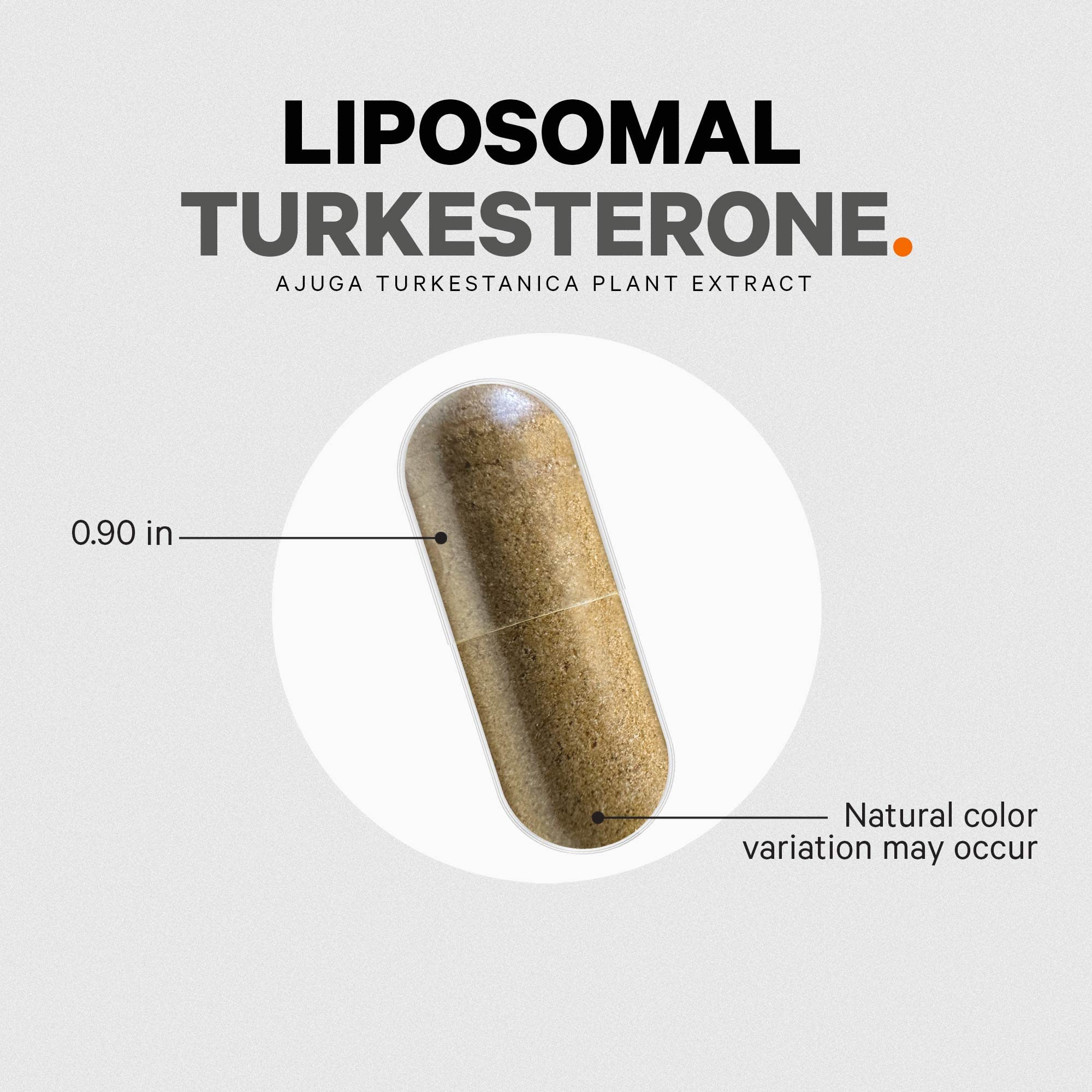 Codeage Liposomal Turkesterone Supplement - 120 Capsules, 4-Month Supply - Image 8