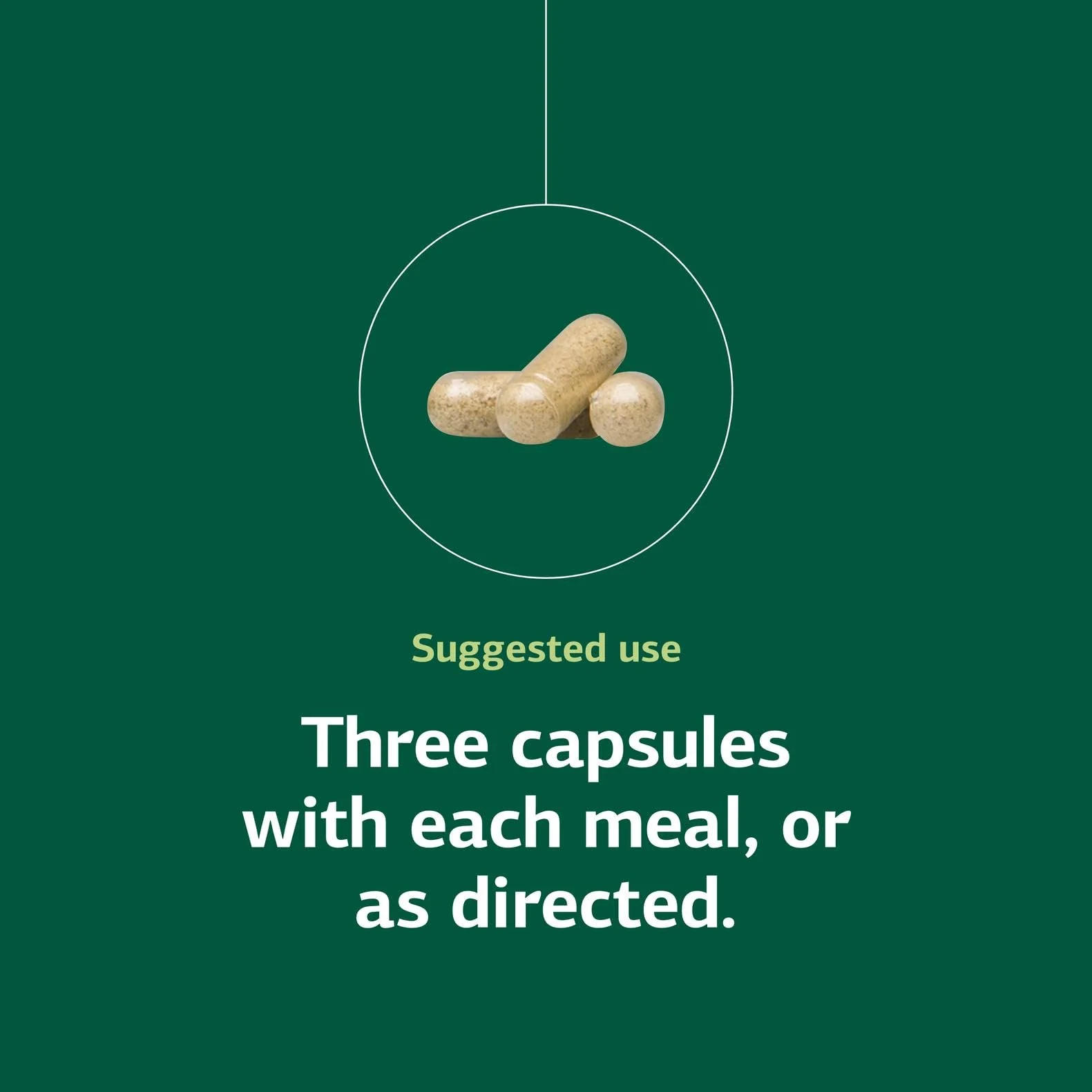 Congaplex Thymus Gland Support - Immune Health Capsule Supplement, 150 Capsules | Standard Process Inc. - Image 5