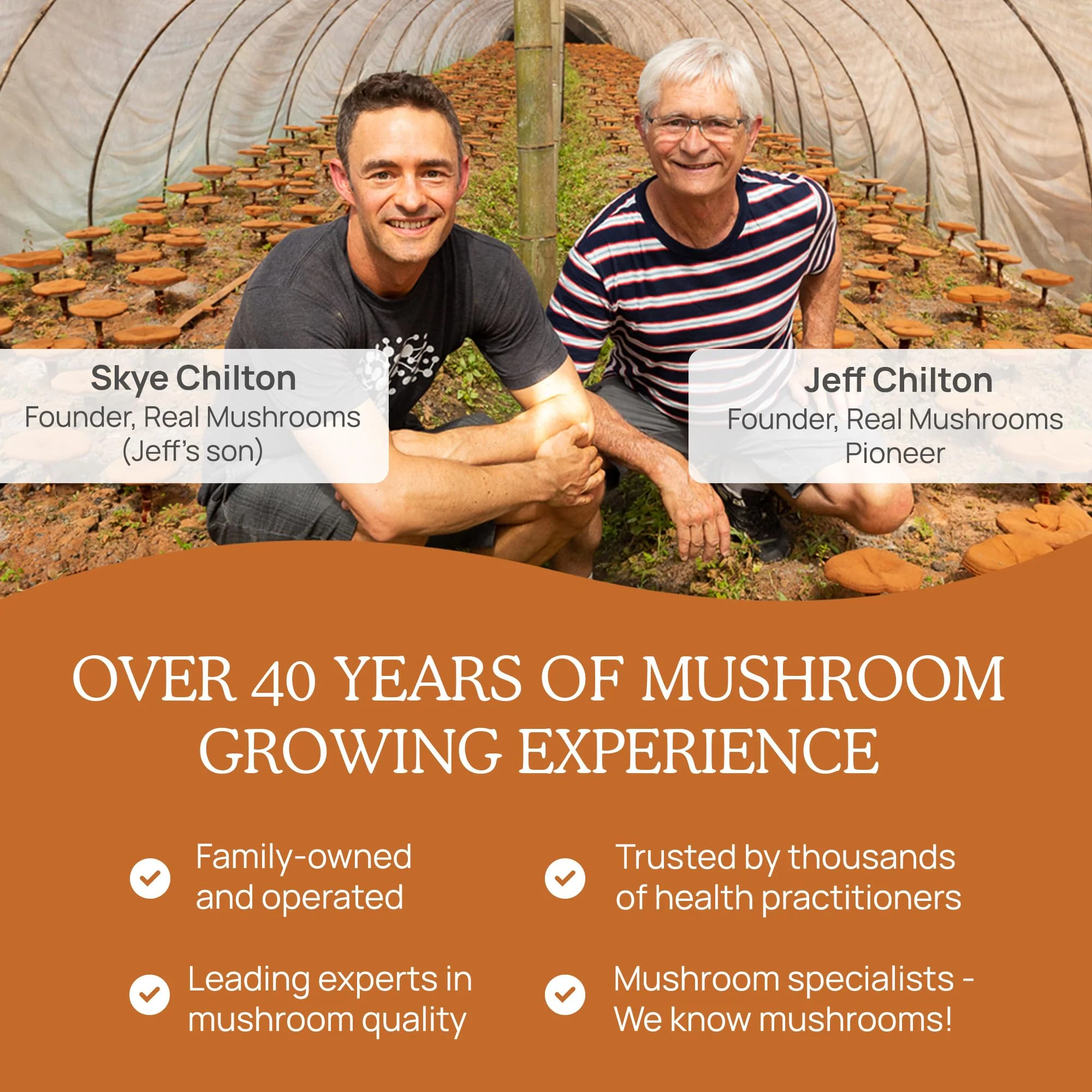 Cordyceps Capsules | Real Mushrooms 8% Beta-Glucans | Vegan & Non-GMO | 120 ct - Image 8