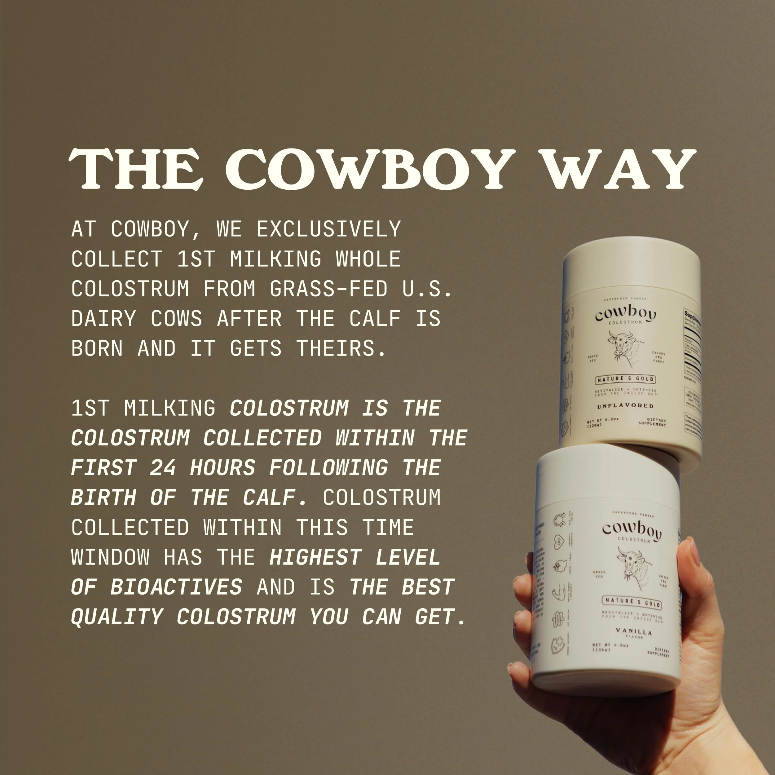 Cowboy Colostrum Powder – Grass-Fed Bovine Colostrum for Gut Health, Immunity, Skin & Hair (Vanilla, 40 Servings) - Image 4