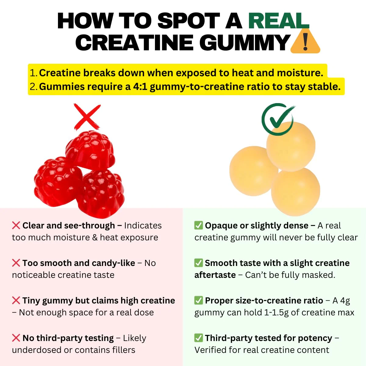 Creatine Monohydrate Gummies 5000mg – Made in USA, Vegan, Lemon | Muscle Growth & Focus - Image 5