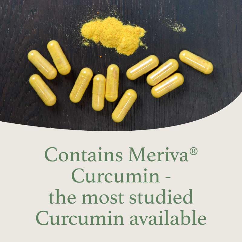 CurcuminX4000 with Fenugreek – Meriva Curcumin Phytosome Herbal Supplement (Refill Pouch) - Image 2
