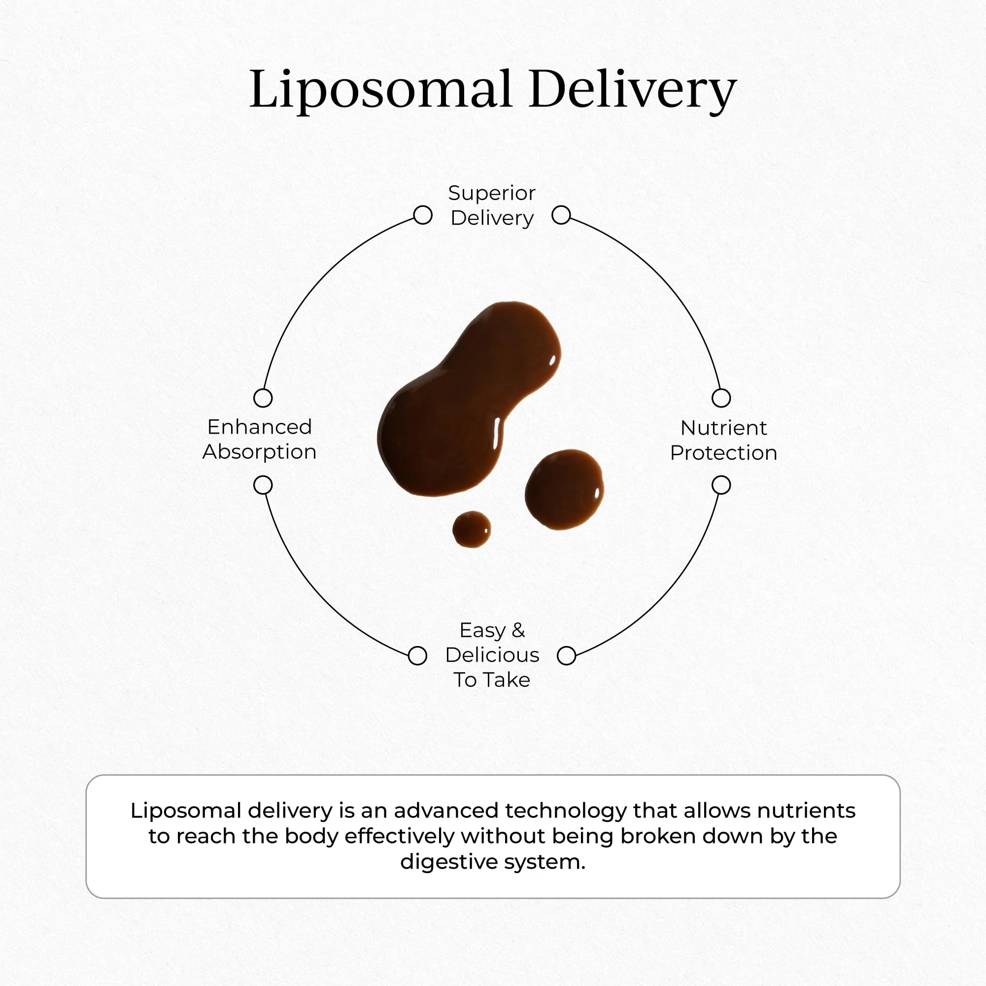 CYMBIOTIKA Liposomal Mushroom Supplement – Lion’s Mane, Turkey Tail, Cordyceps & Reishi, Chocolate Fudge, 30 Pack - Image 7