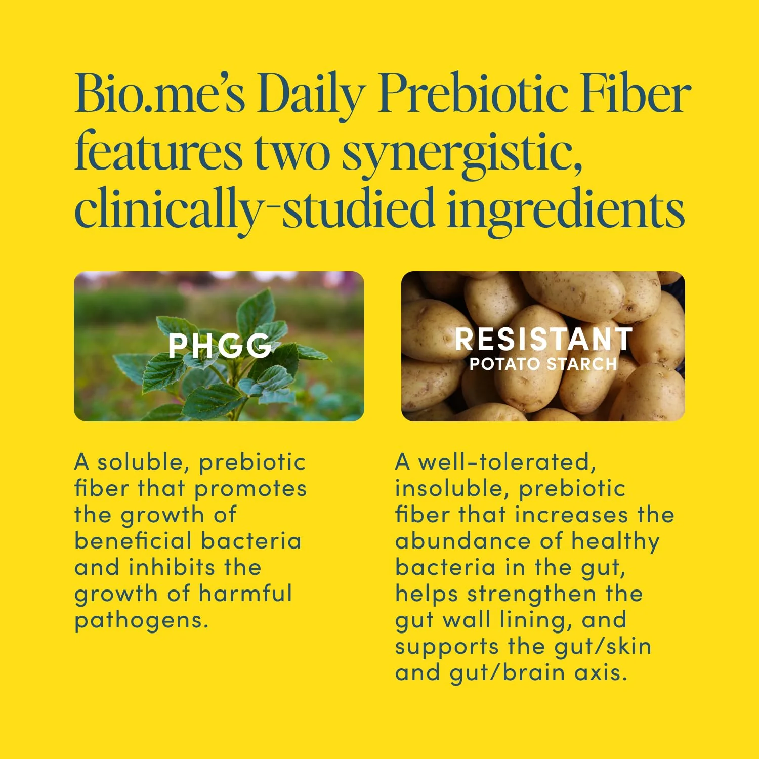 Daily Prebiotic Fiber Lemonade with Electrolytes - 7g Soluble Fiber per Serving - Sugar Free - 30 Servings - Image 7